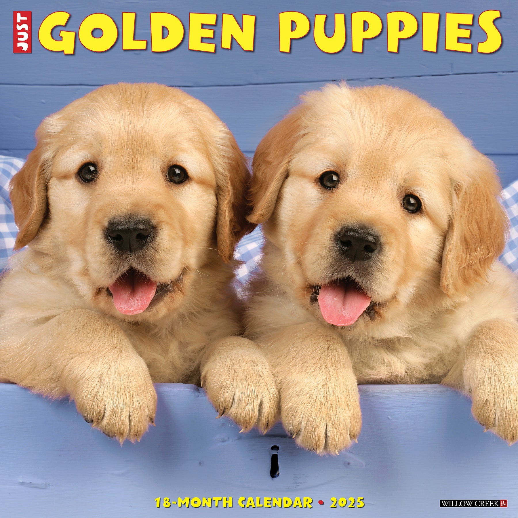 2025 Golden Puppies - Square Wall Calendar