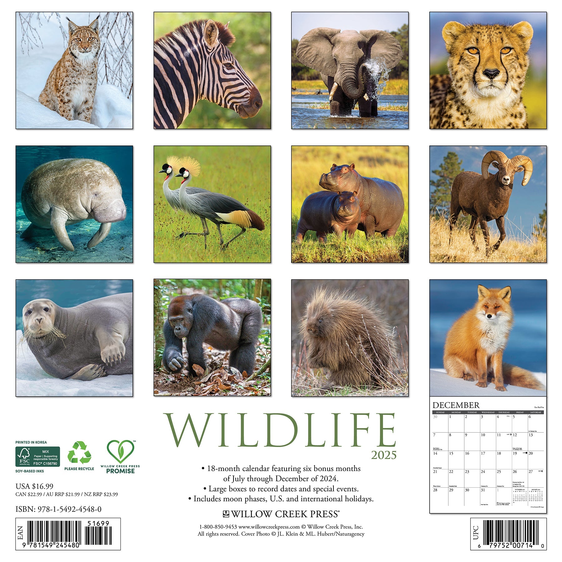 2025 Wildlife - Square Wall Calendar