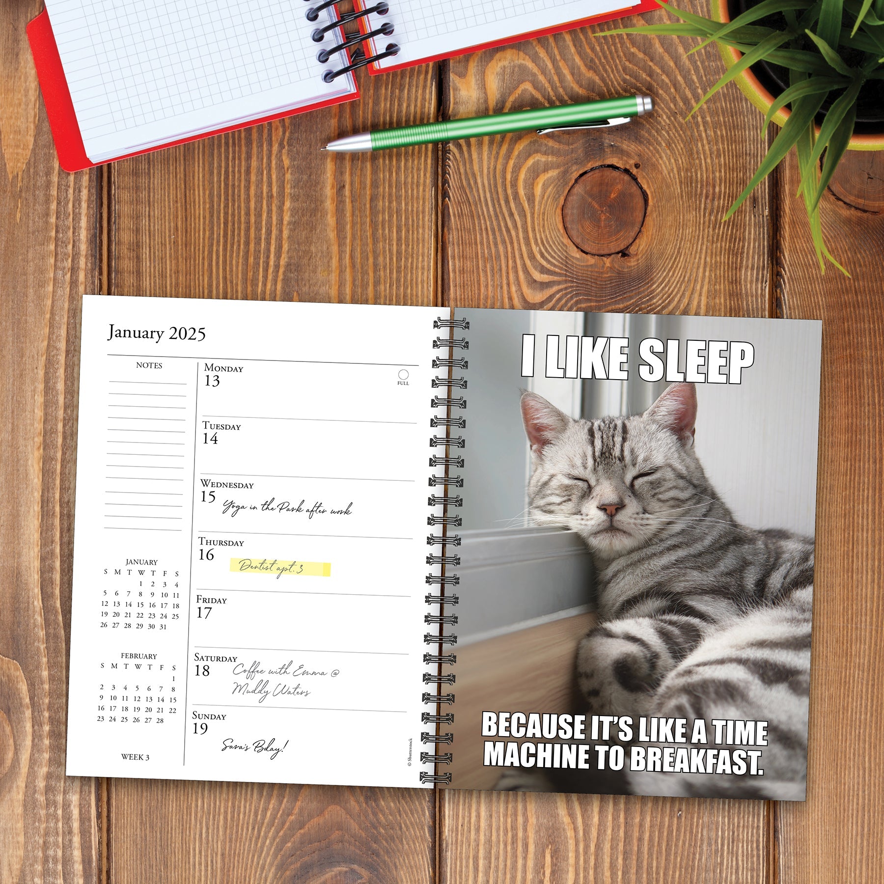 2025 Cat-astrophe - Weekly Diary/Planner