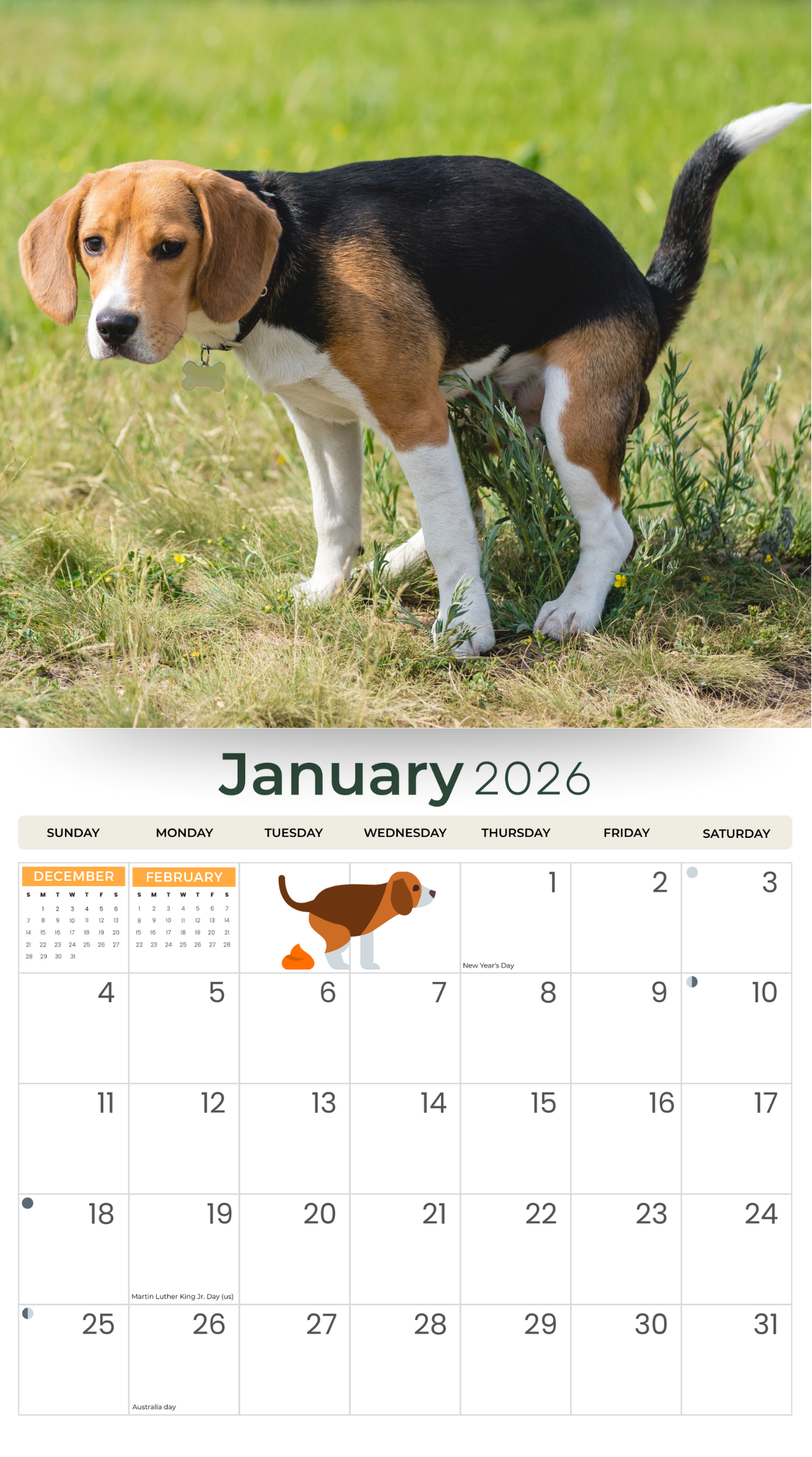 2026_Oh_Crap_Pooping_Dogs_-_Deluxe_Wall_Calendar_Back_Cover_1.png