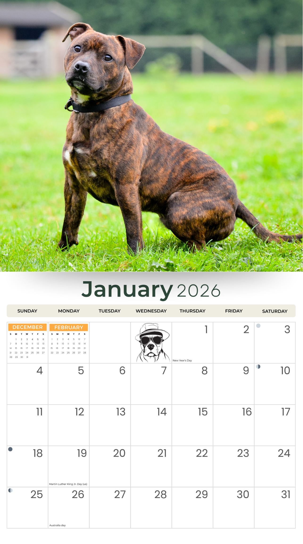 2026_Staffordshire_Bull_Terrier_-_Deluxe_Wall_Calendar_Inside_Cover.png