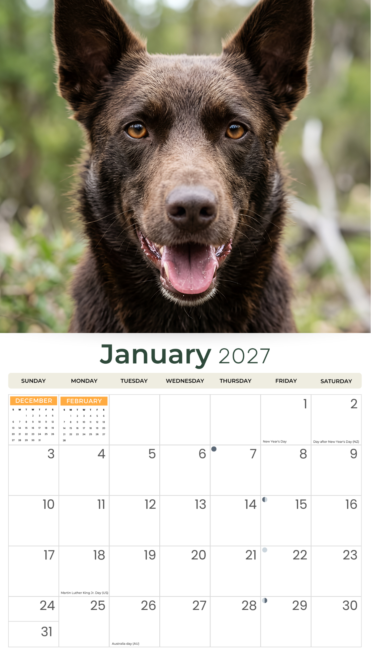 2027 Kelpies - Deluxe Wall Calendar