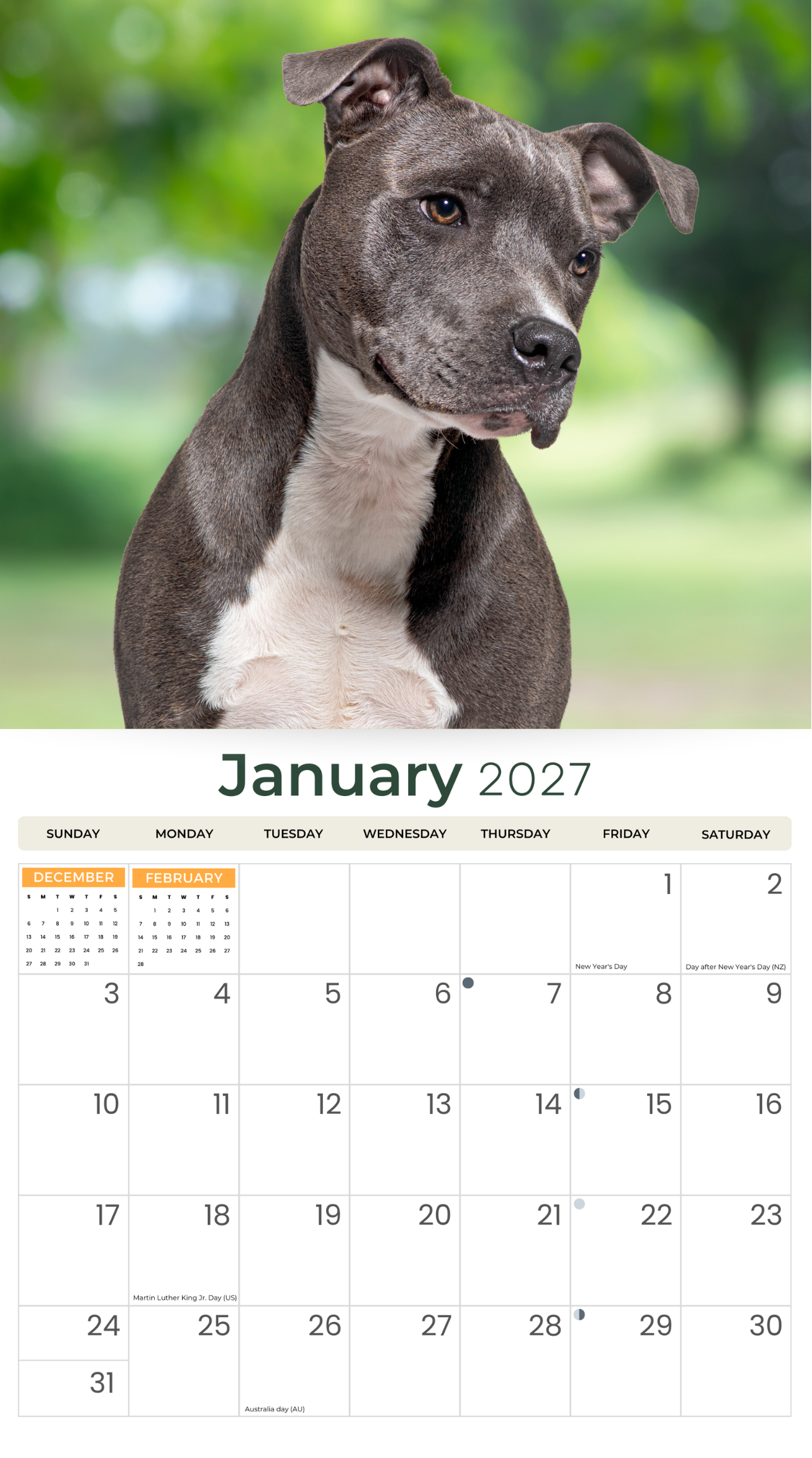 2027 Staffordshire Bull Terrier - Deluxe Wall Calendar