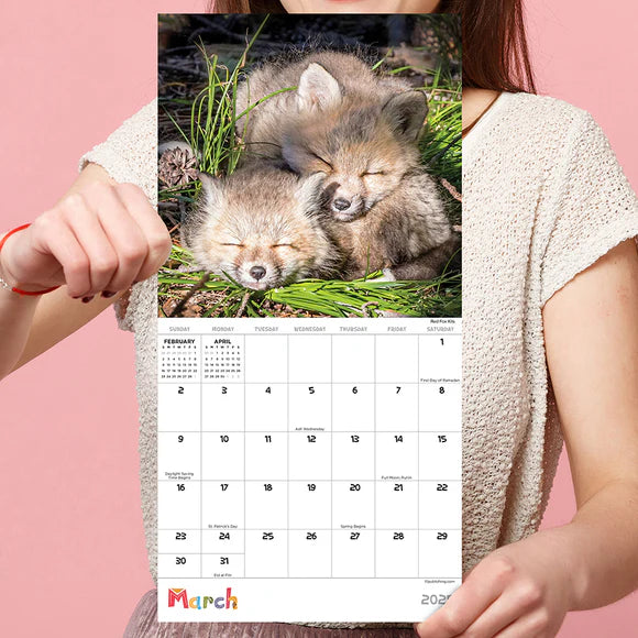 2025 Baby Animals - Mini Wall Calendar