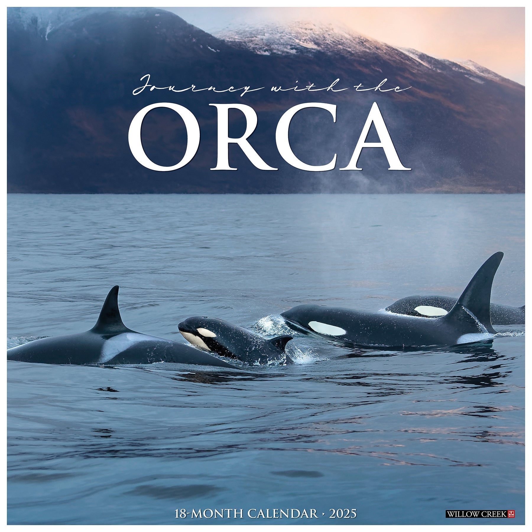 2025 Orca (Journey With the) - Square Wall Calendar