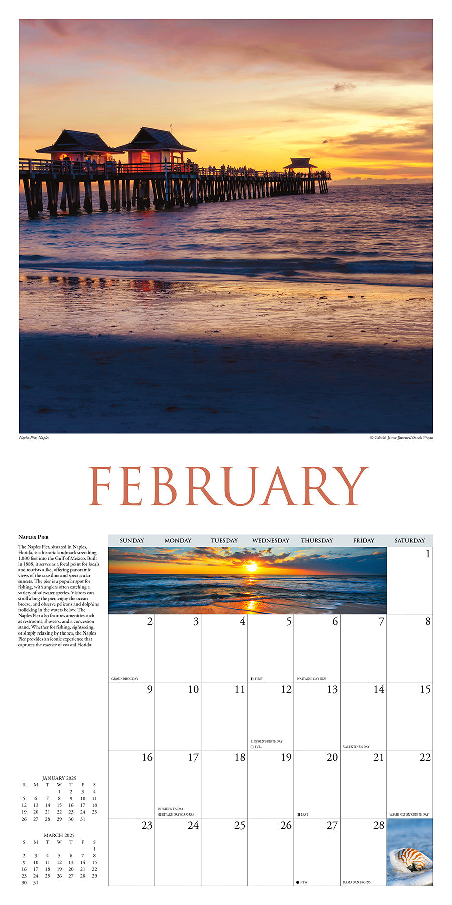 2025 Florida - Square Wall Calendar