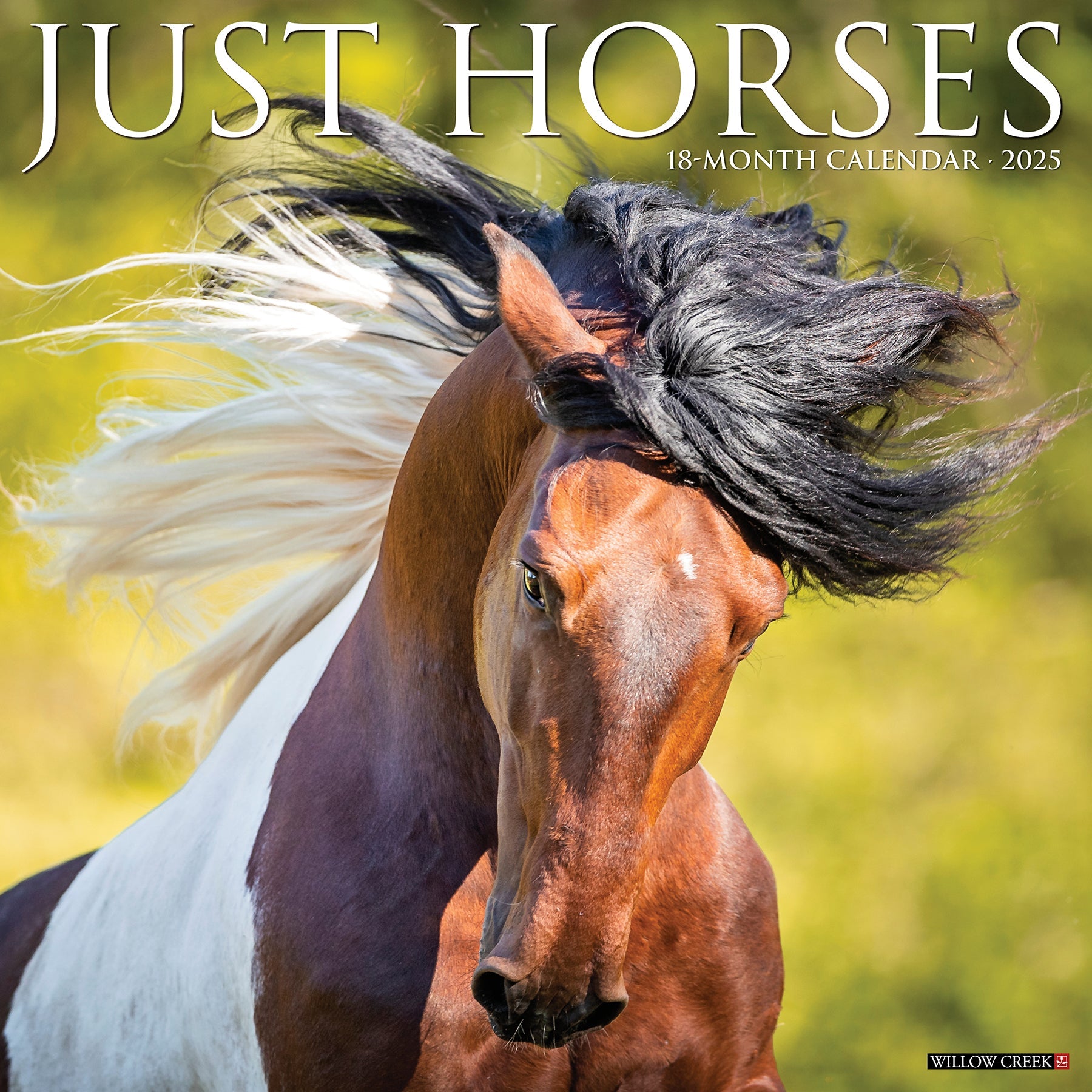 2025 Horses - Square Wall Calendar