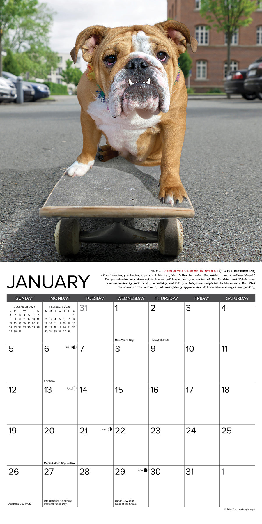 2025 Bulldog Bad Boys - Square Wall Calendar
