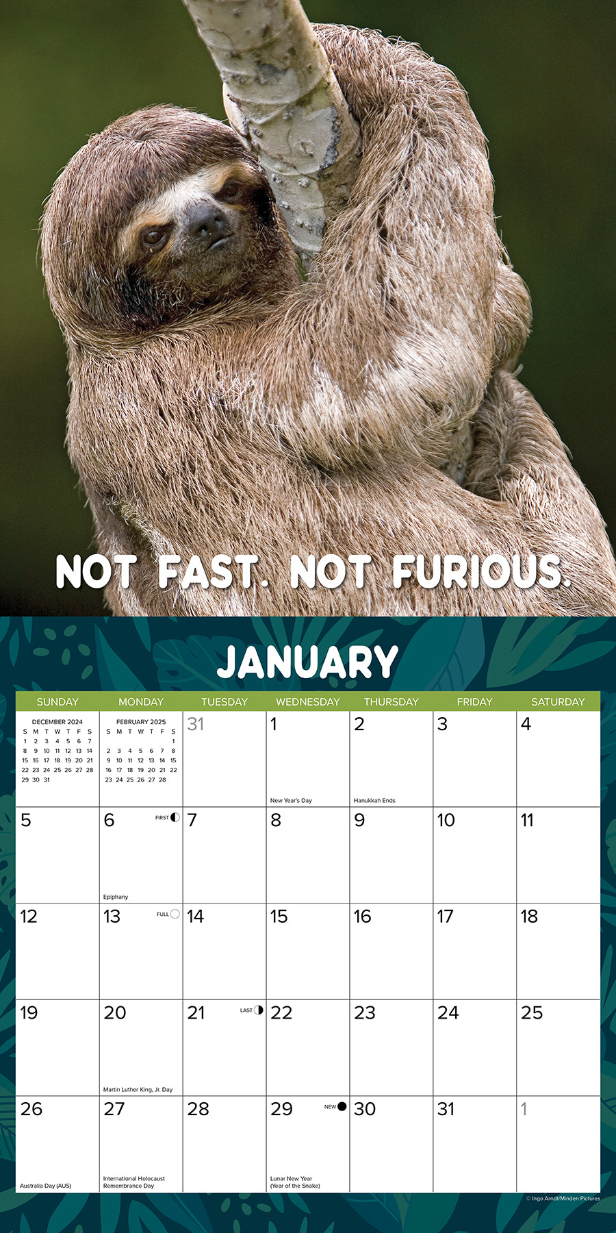 2025 Sloth Mode - Square Wall Calendar