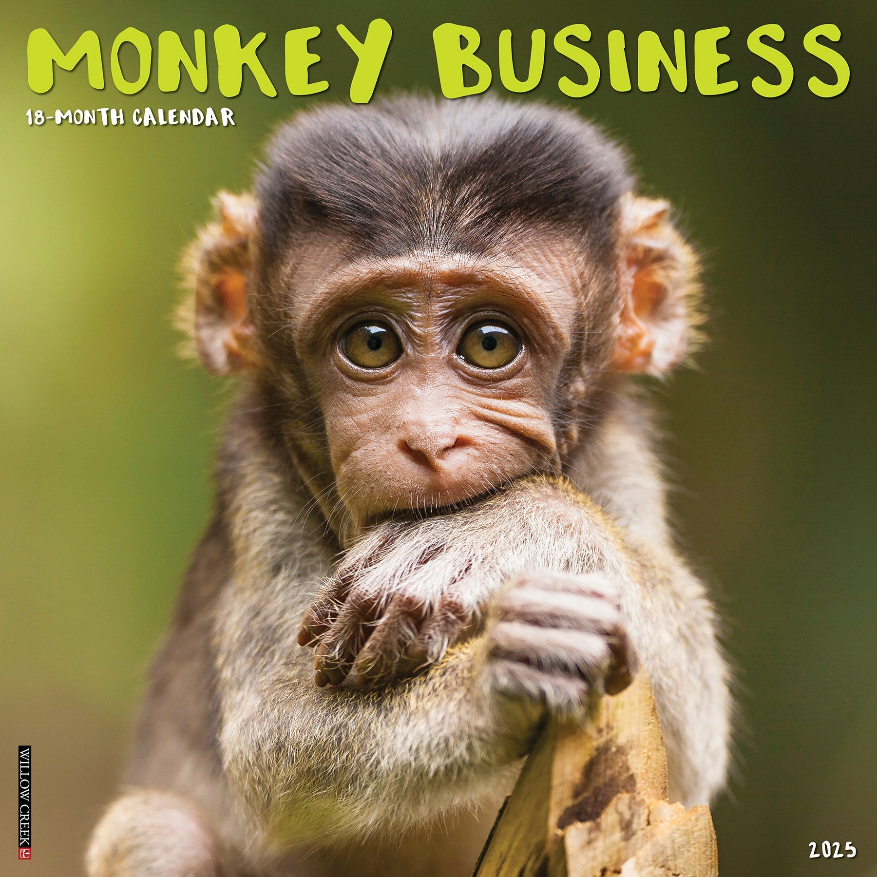 2025 Monkey Business - Square Wall Calendar