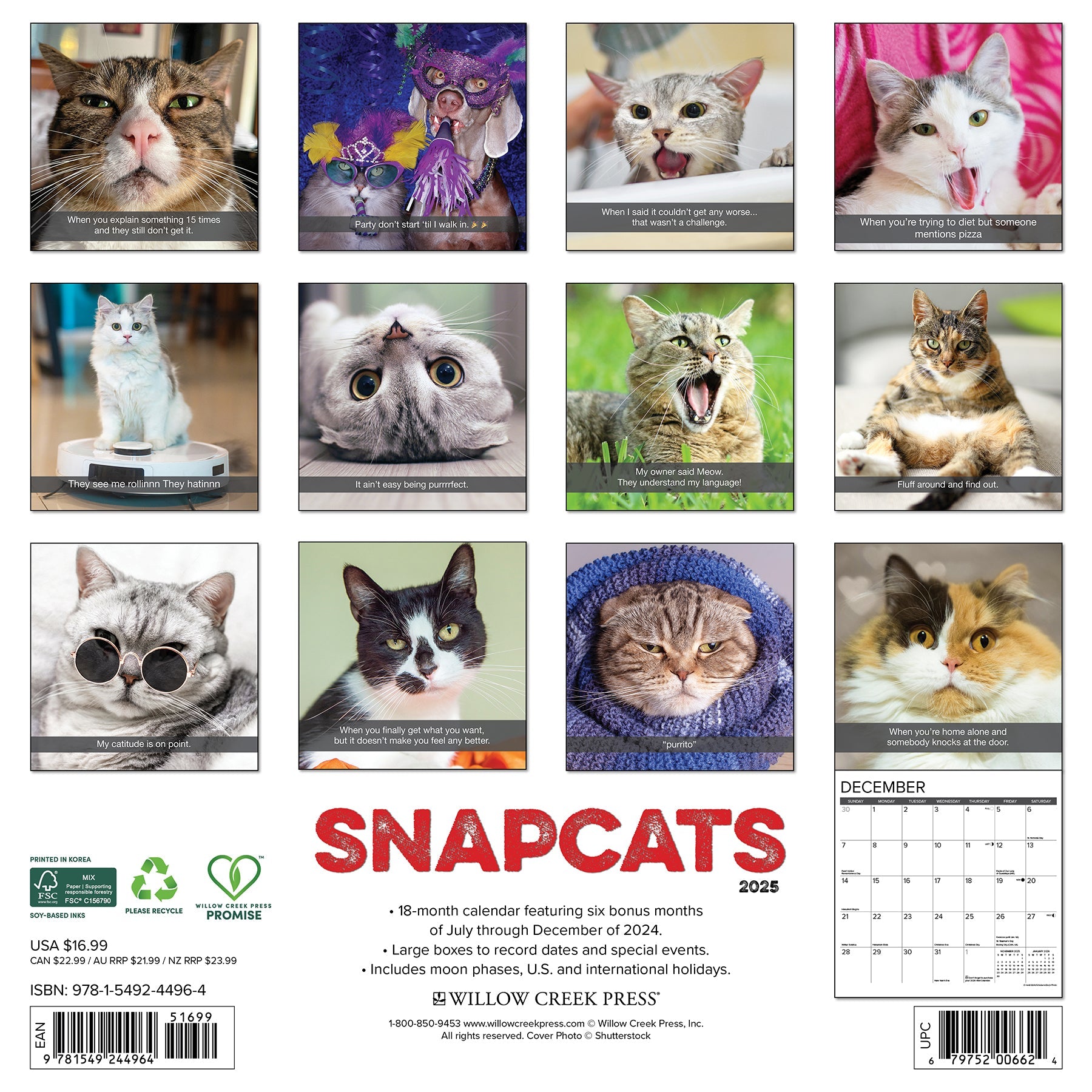 2025 Snapcats - Square Wall Calendar