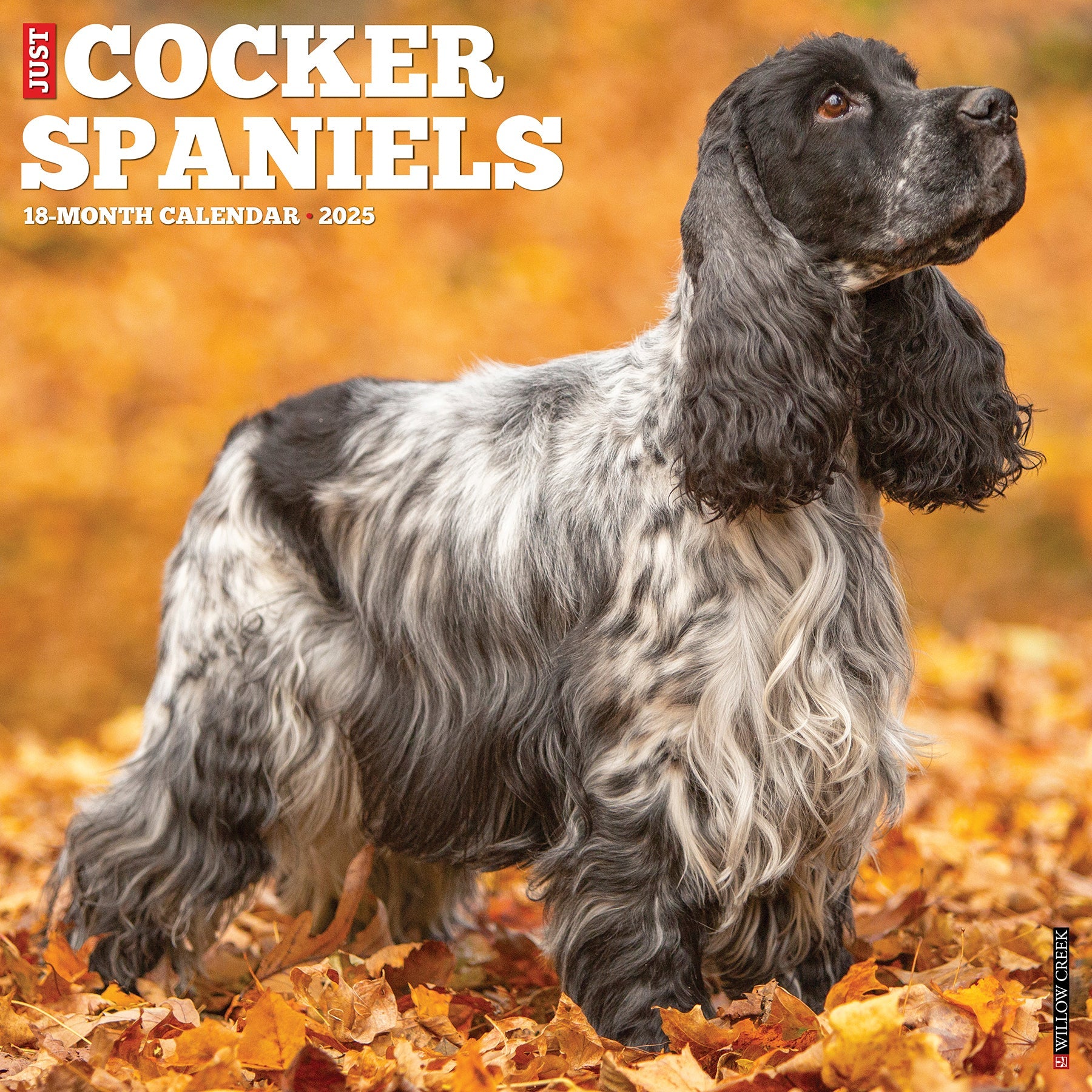 2025 Cocker Spaniels - Square Wall Calendar