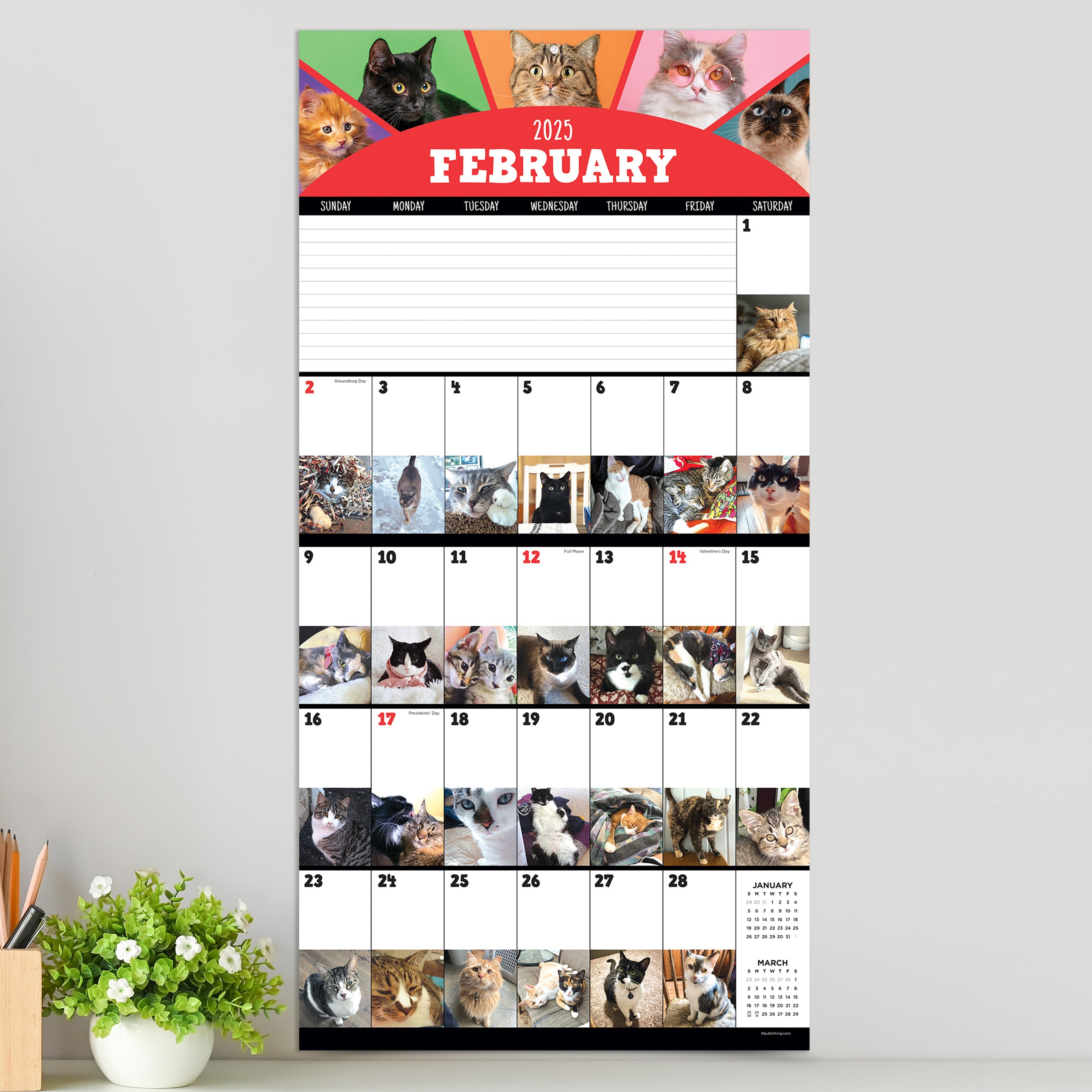 2025 Cat-A-Day - Square Wall Calendar