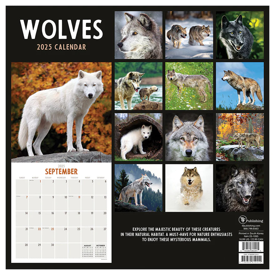 2025 Wolves - Square Wall Calendar