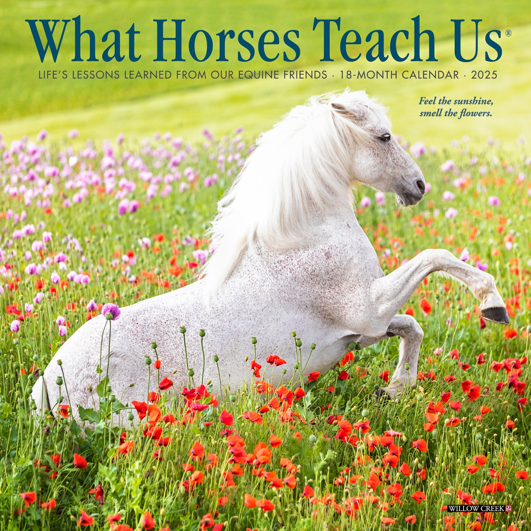 2025 What Horses Teach Us - Mini Wall Calendar