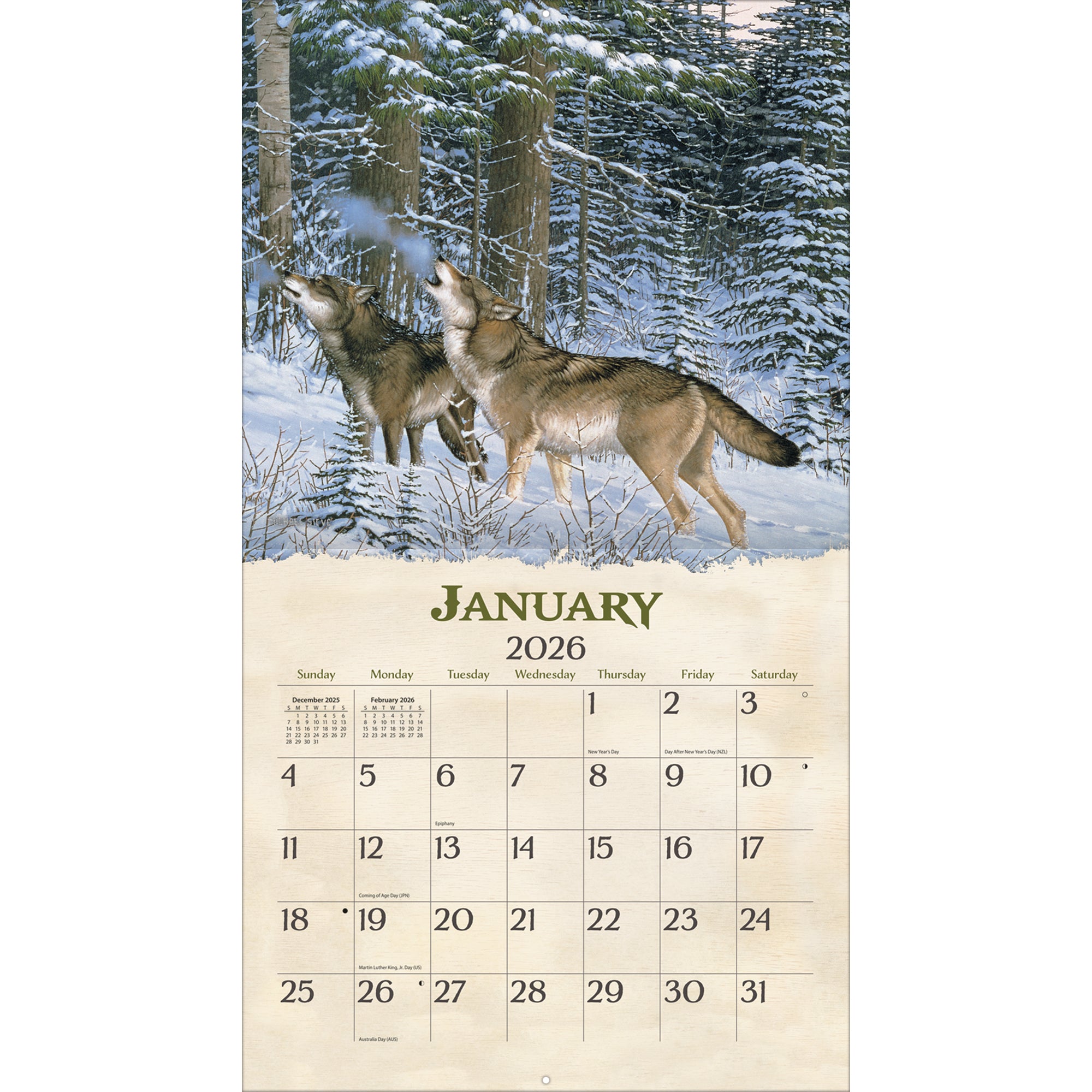 2026 LANG Beyond The Woods - Deluxe Wall Calendar