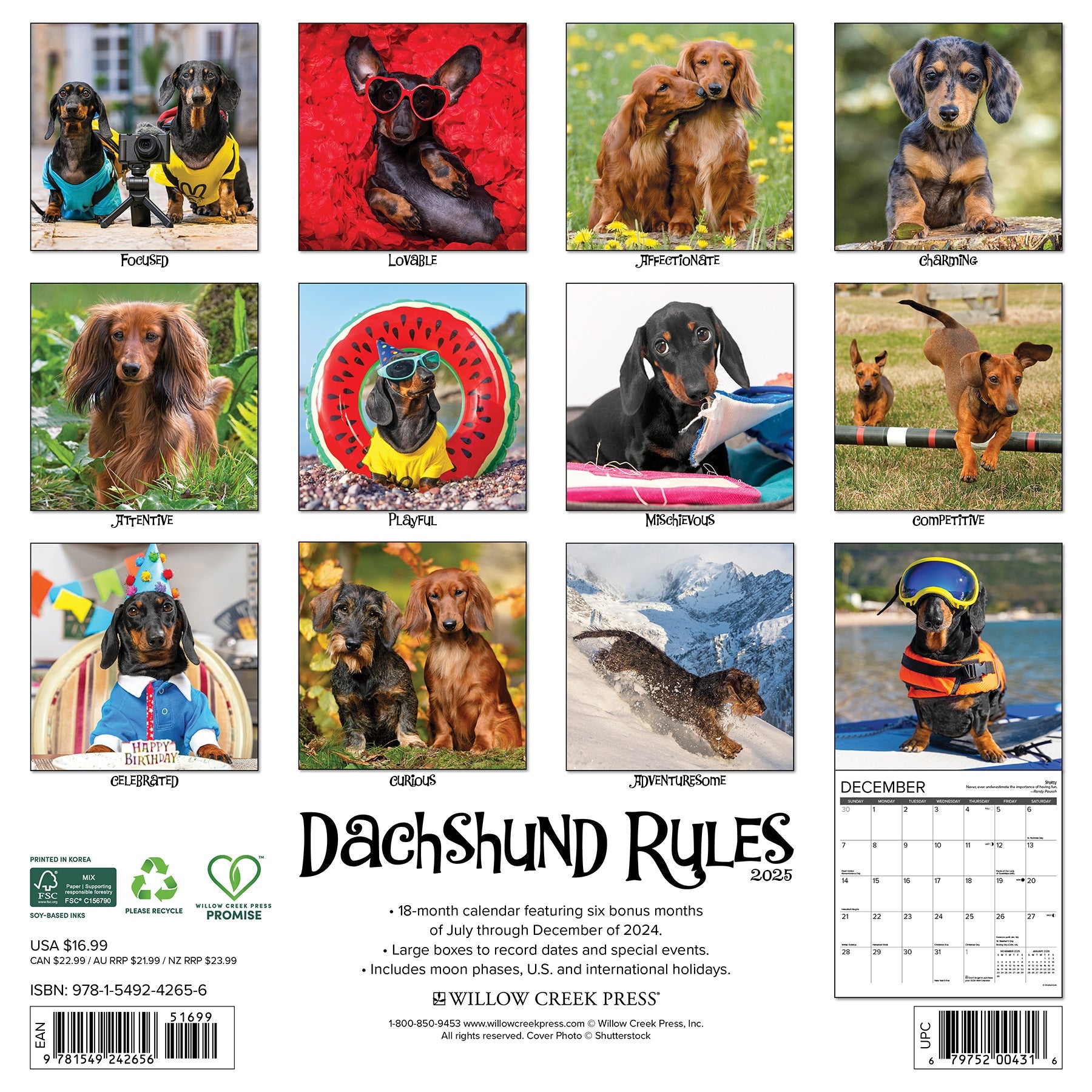 2025 Dachshund Rules - Square Wall Calendar