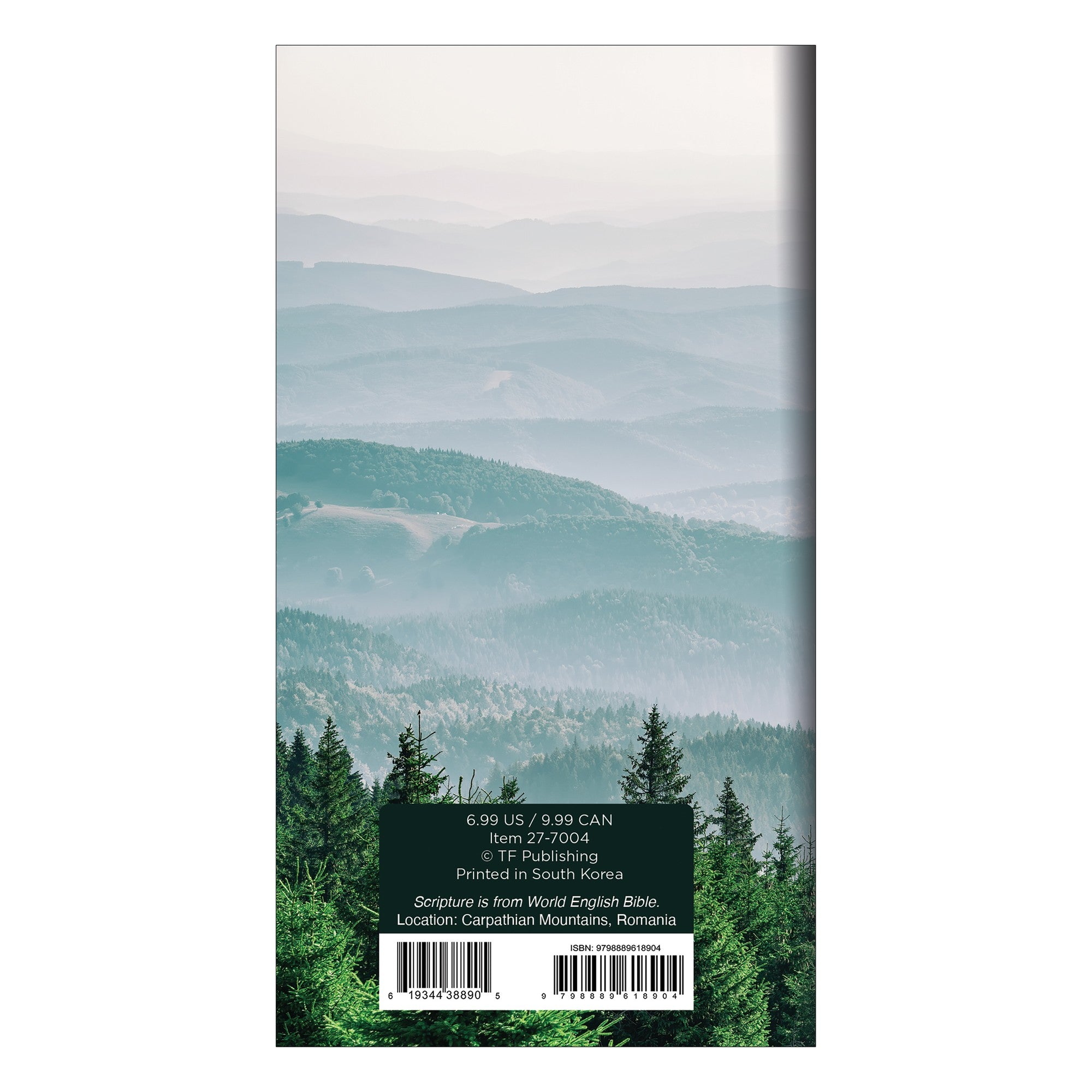 27-7004-back.jpg