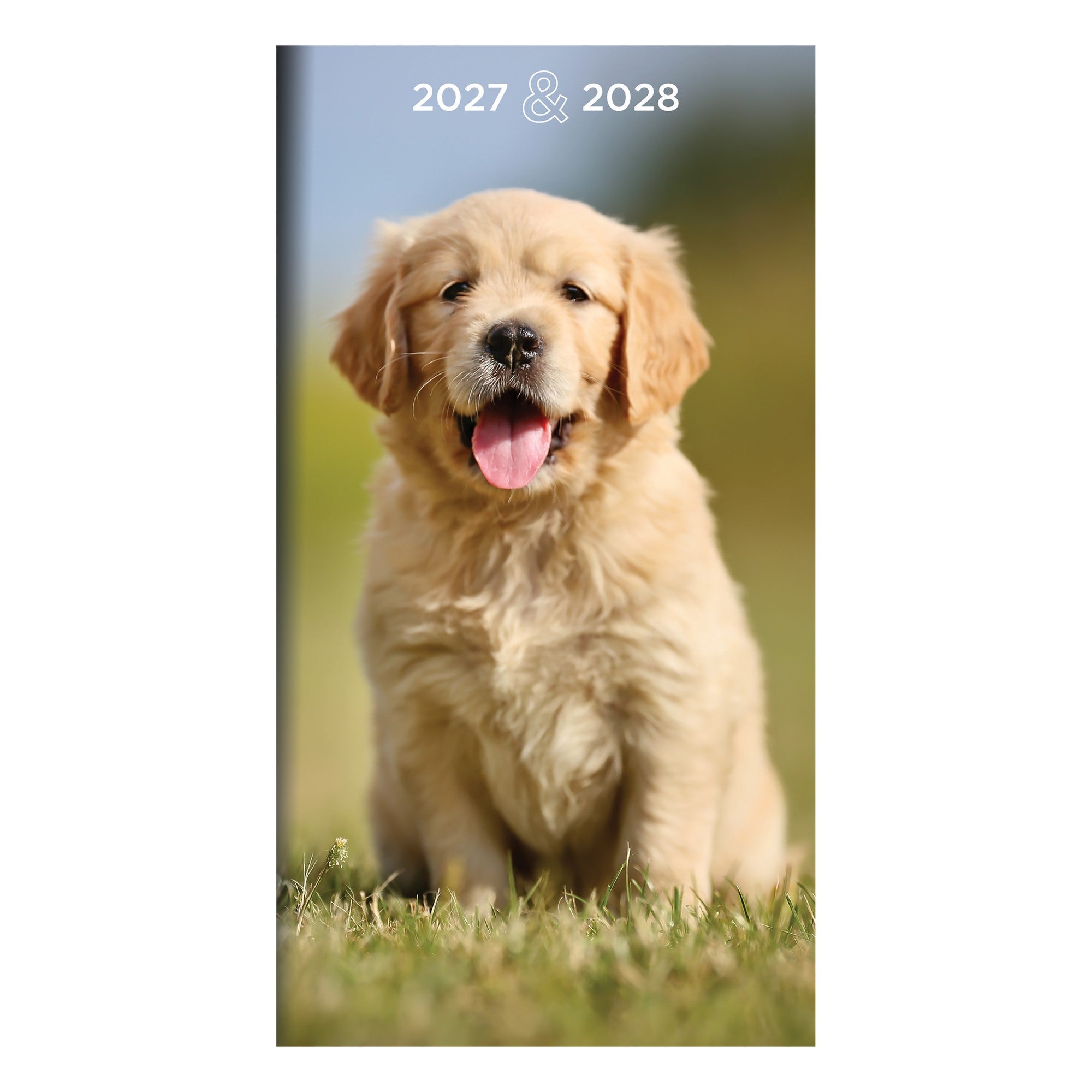 27-7016-front.jpg