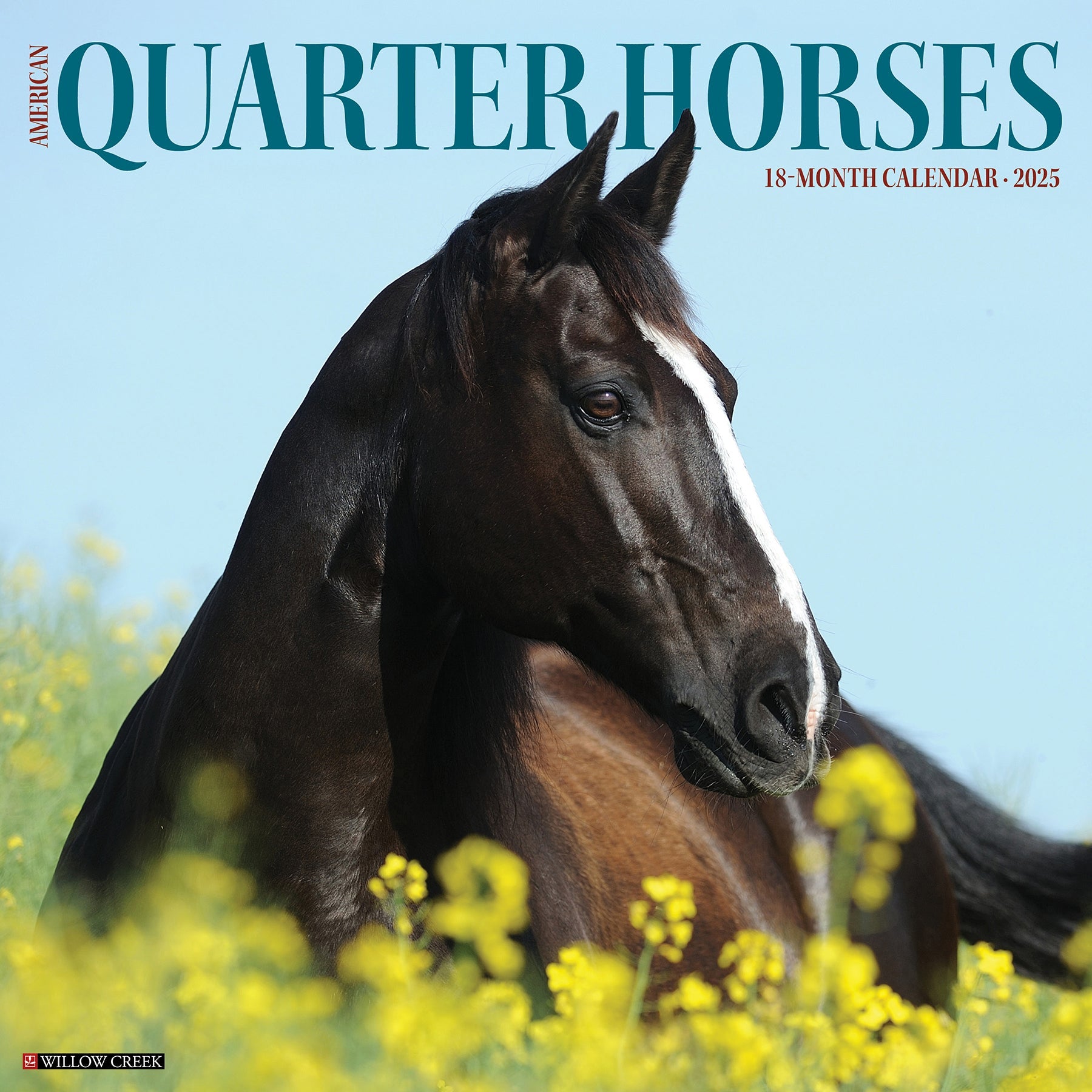 2025 American Quarter Horses - Square Wall Calendar