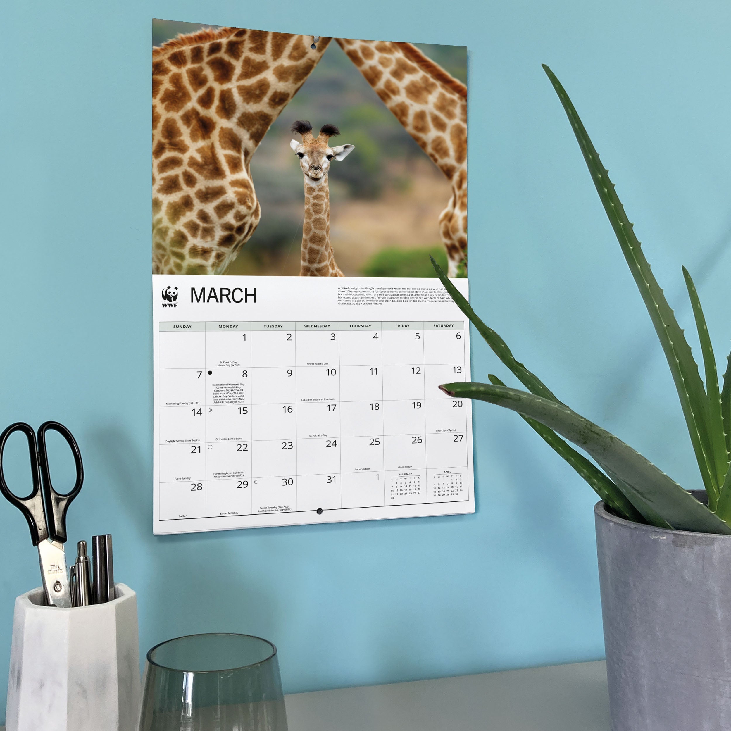 2027 WWF Giraffes - Deluxe Wall Calendar – image 6