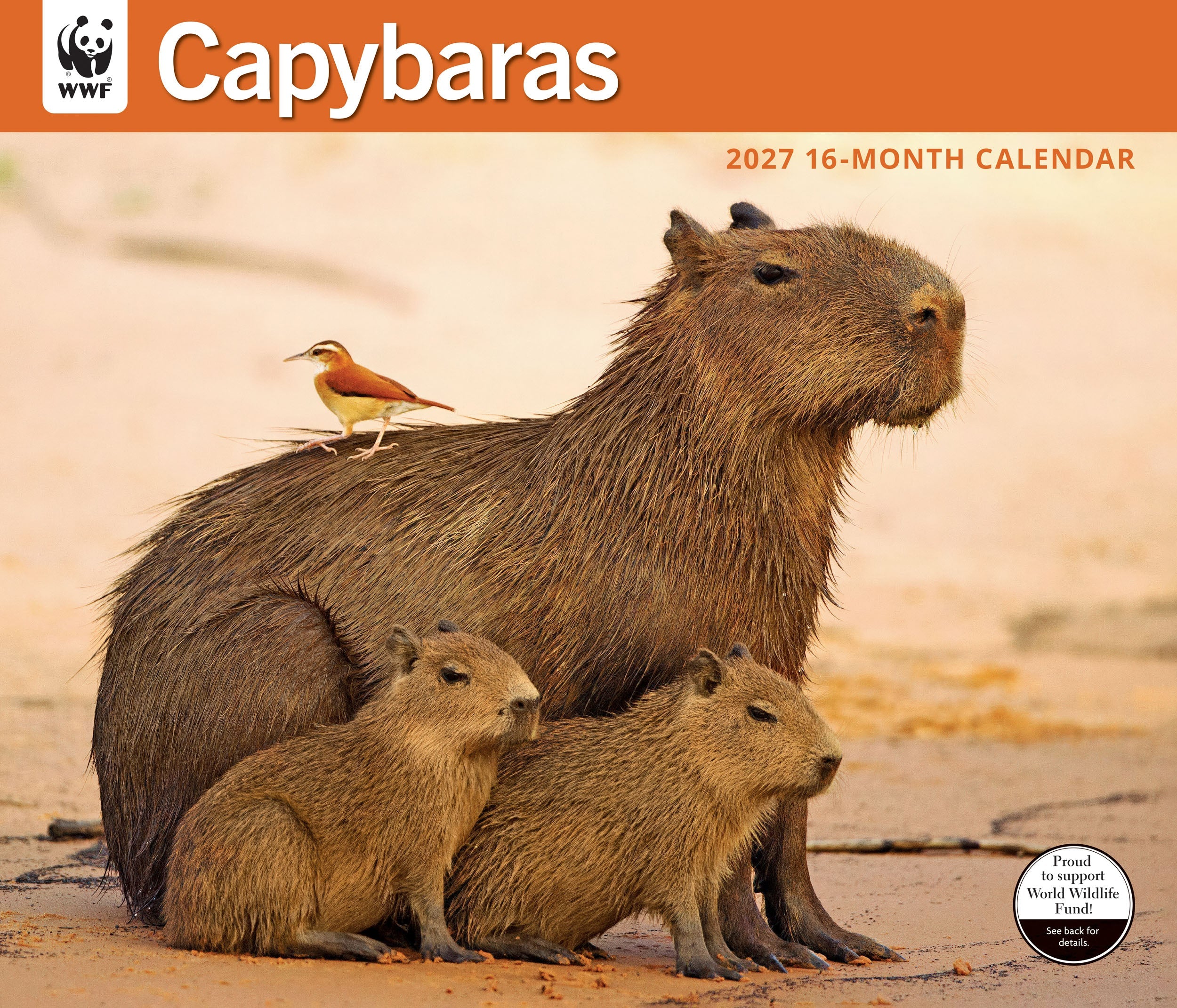 2027 WWF Capybaras - Deluxe Wall Calendar – image 1