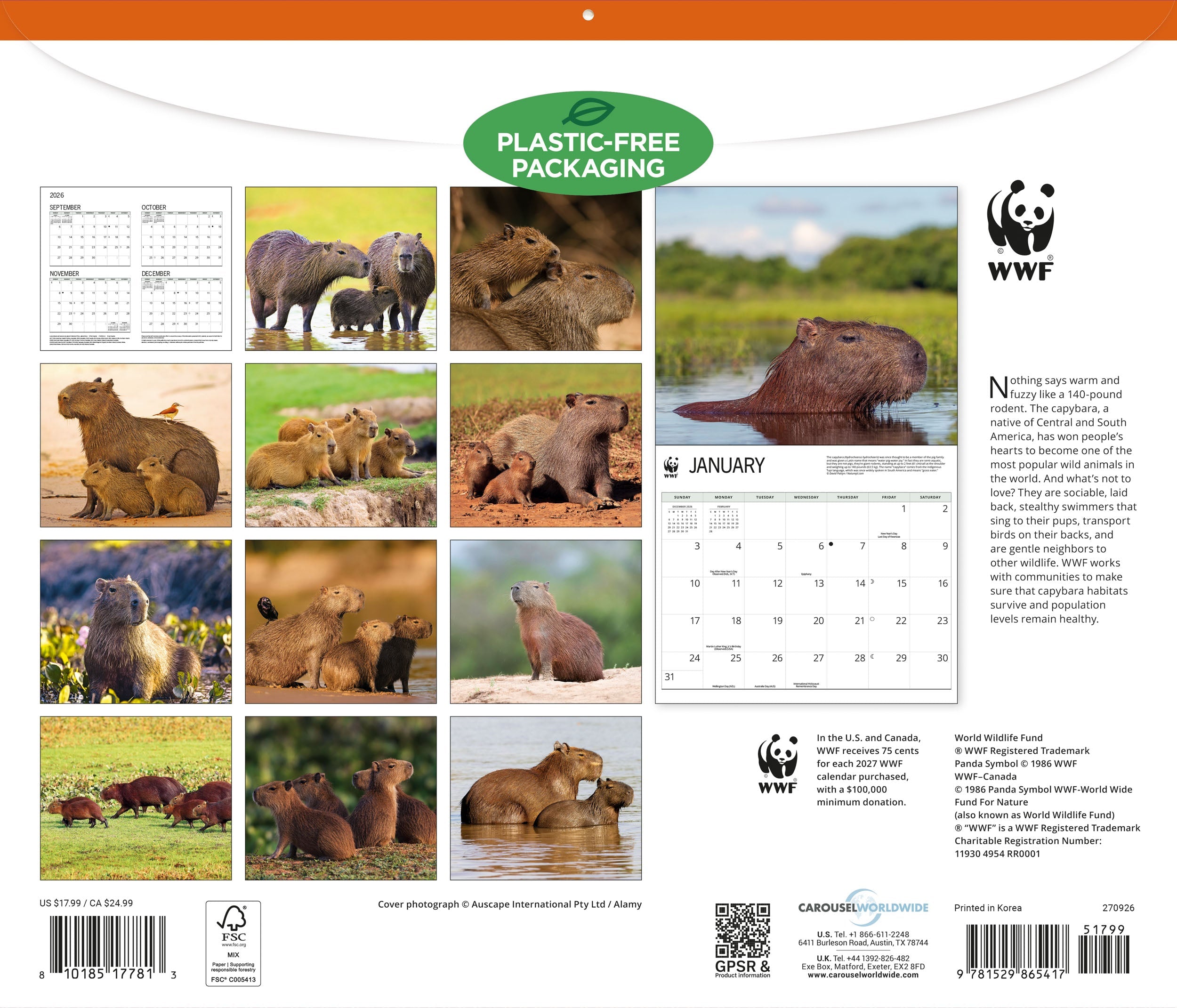 2027 WWF Capybaras - Deluxe Wall Calendar – image 2