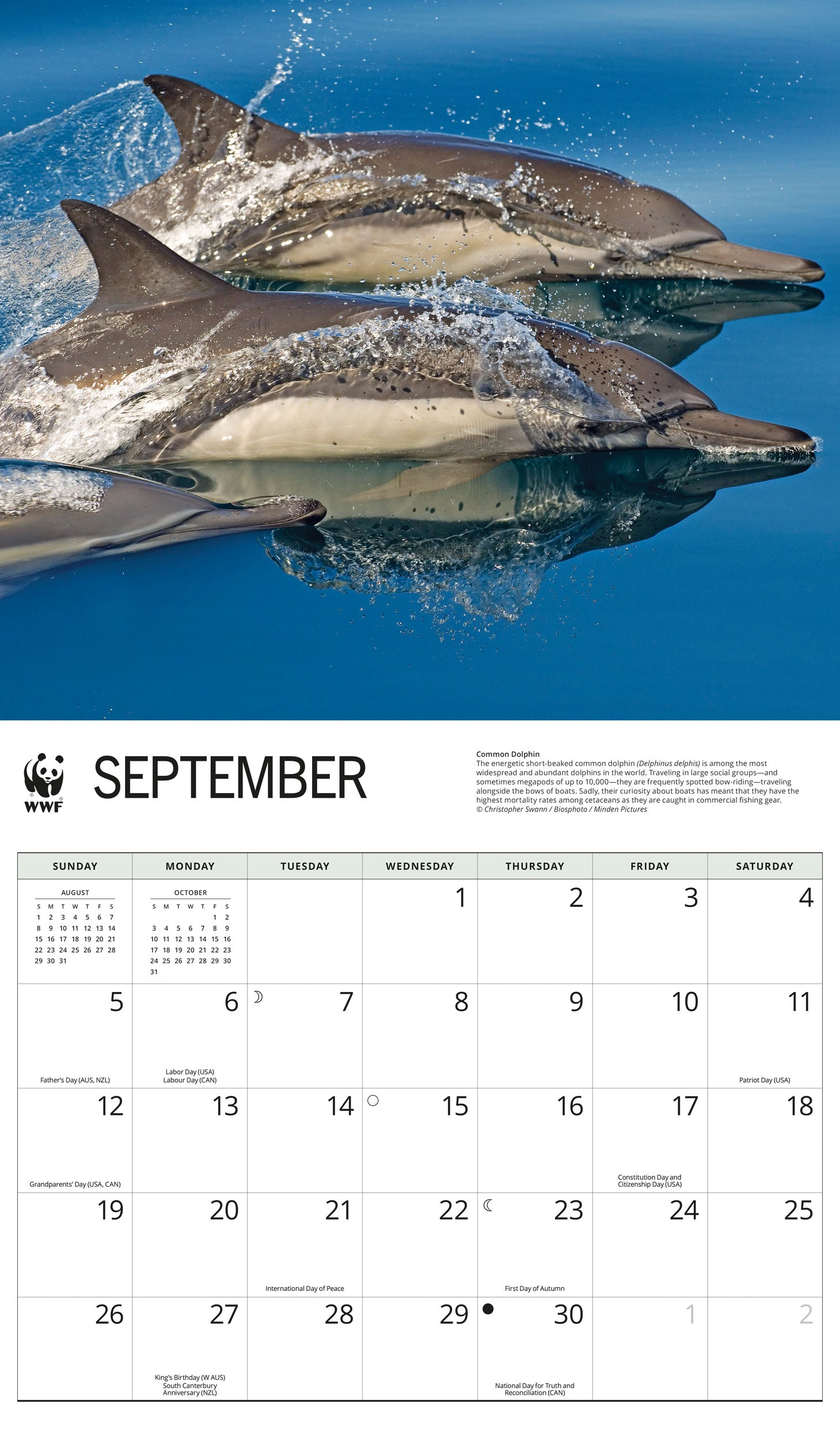 2027 WWF Dolphins - Deluxe Wall Calendar – image 5