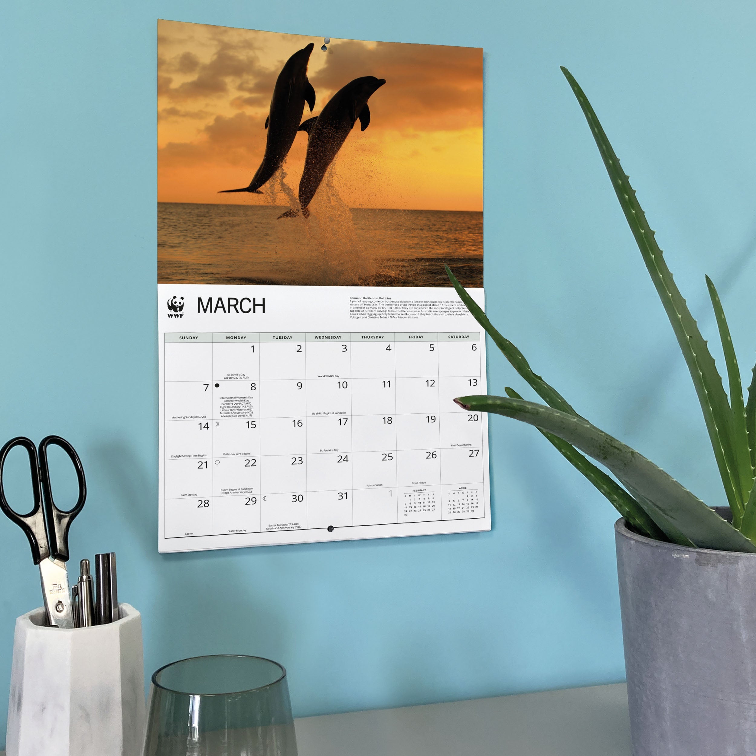 2027 WWF Dolphins - Deluxe Wall Calendar – image 6