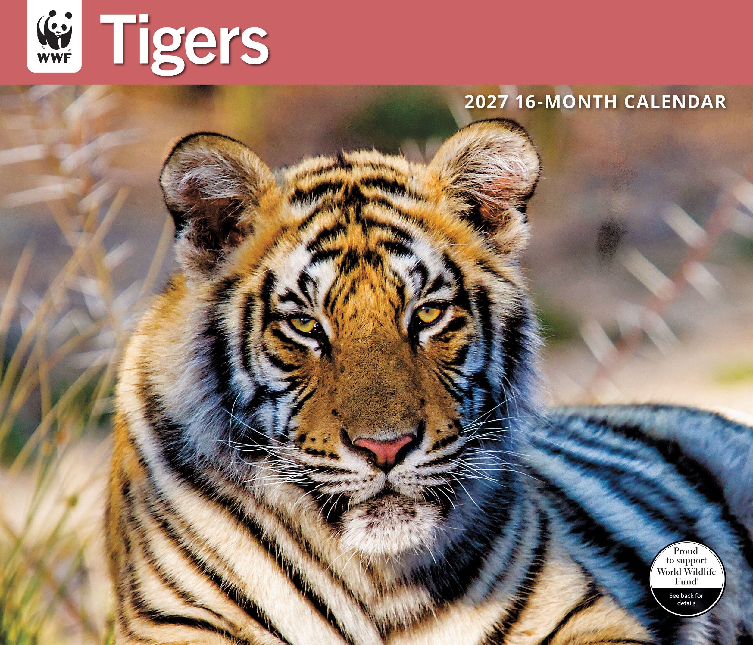 2027 WWF Tigers - Deluxe Wall Calendar – image 1