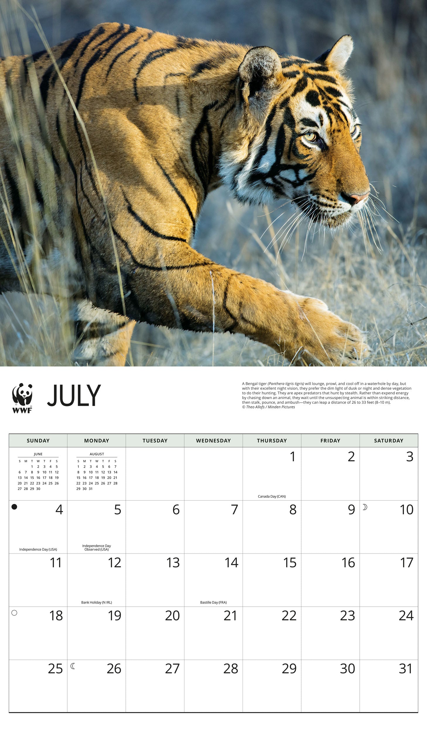 2027 WWF Tigers - Deluxe Wall Calendar – image 4