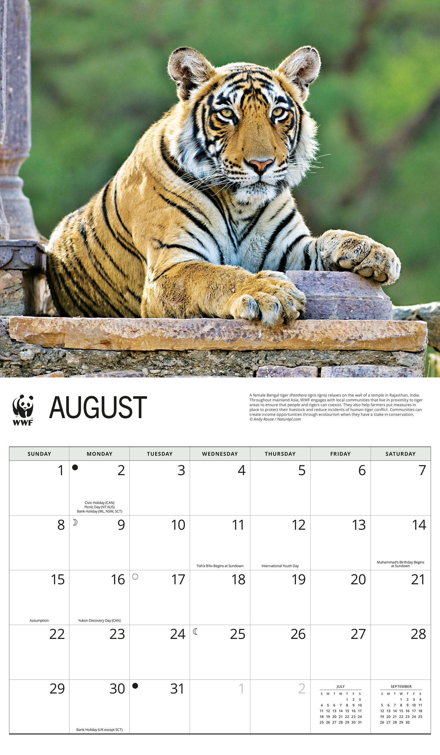 2027 WWF Tigers - Deluxe Wall Calendar – image 5