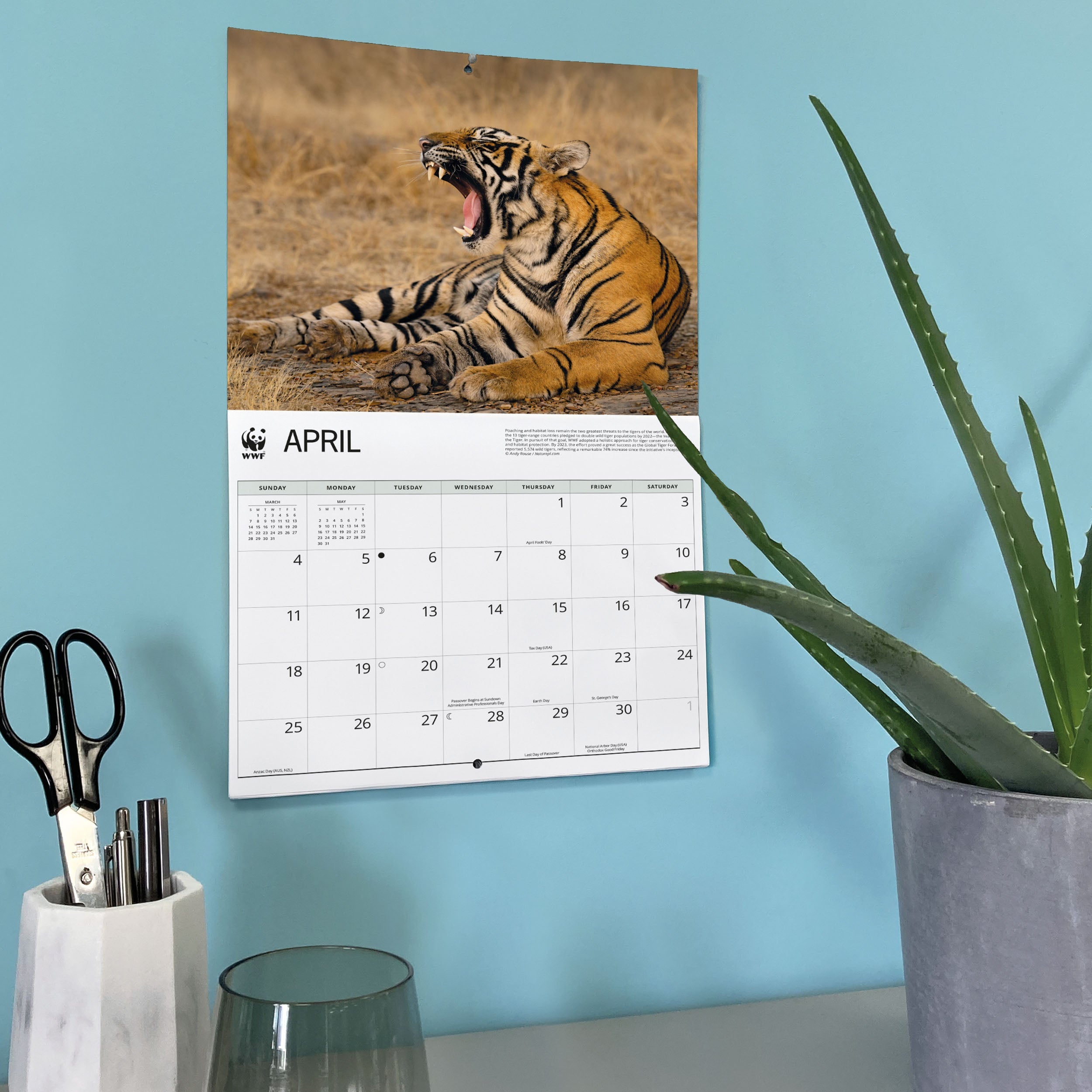 2027 WWF Tigers - Deluxe Wall Calendar – image 6