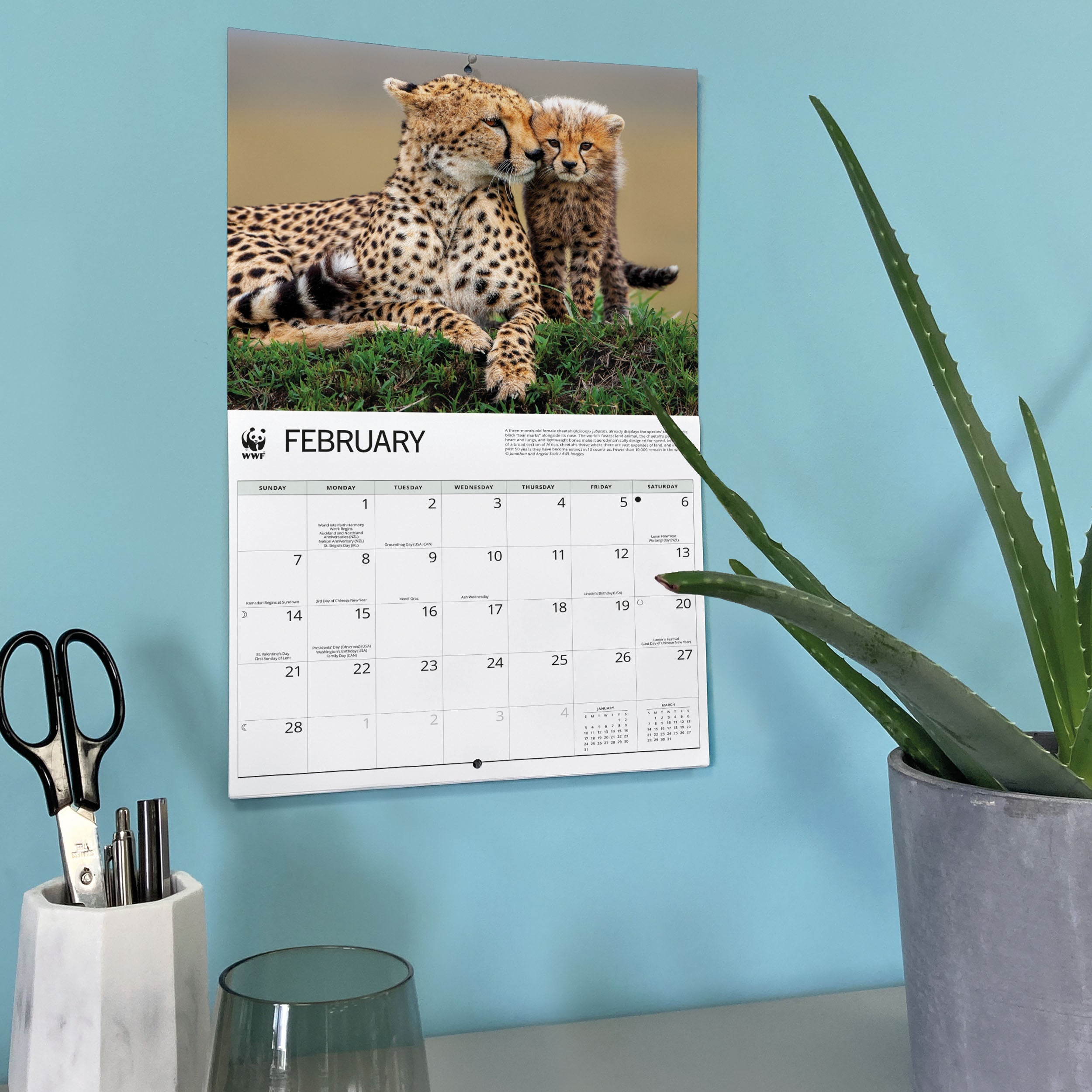2027 WWF Wild Cats - Deluxe Wall Calendar – image 6