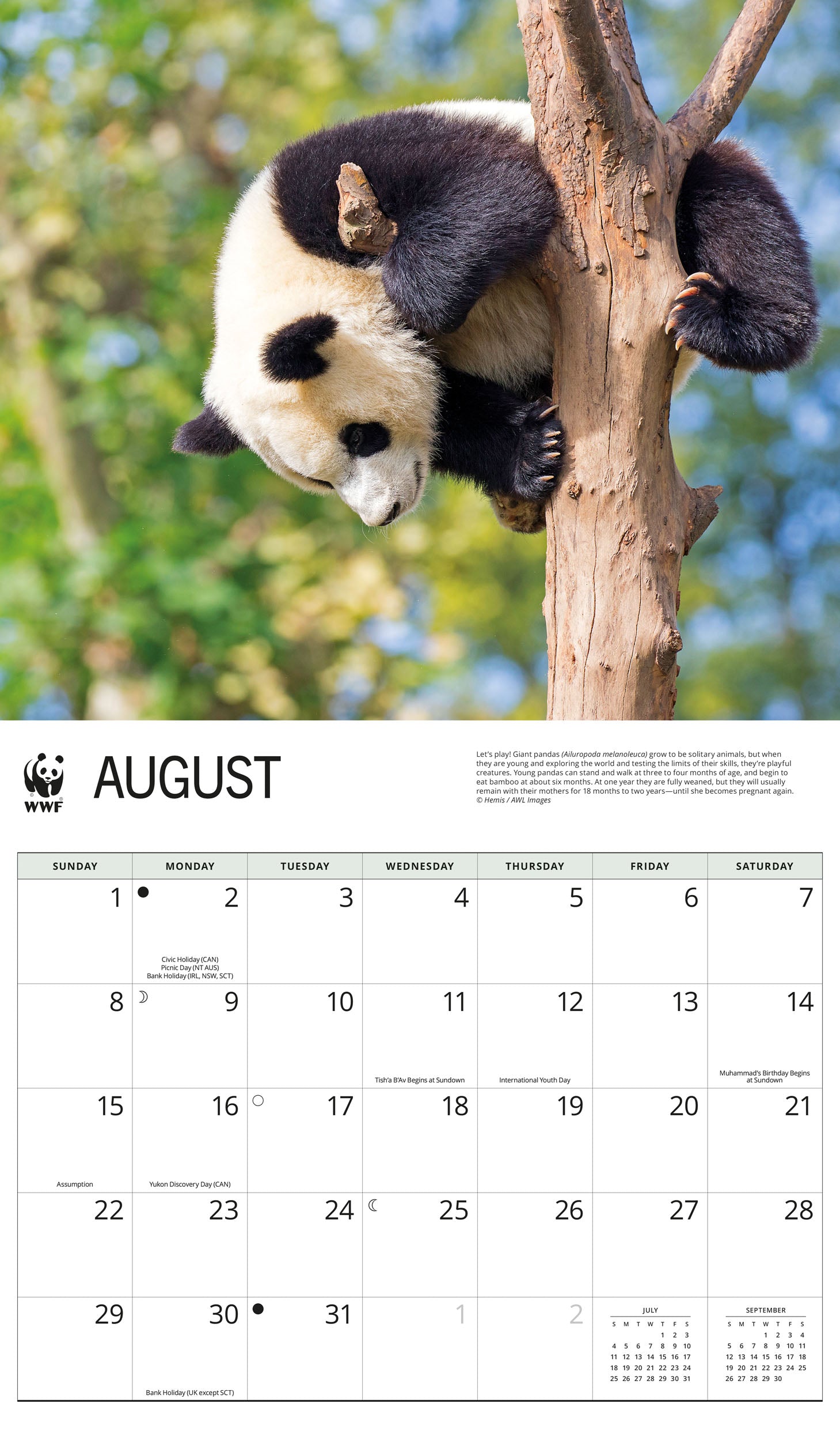 2027 WWF Giant Pandas - Deluxe Wall Calendar – image 4