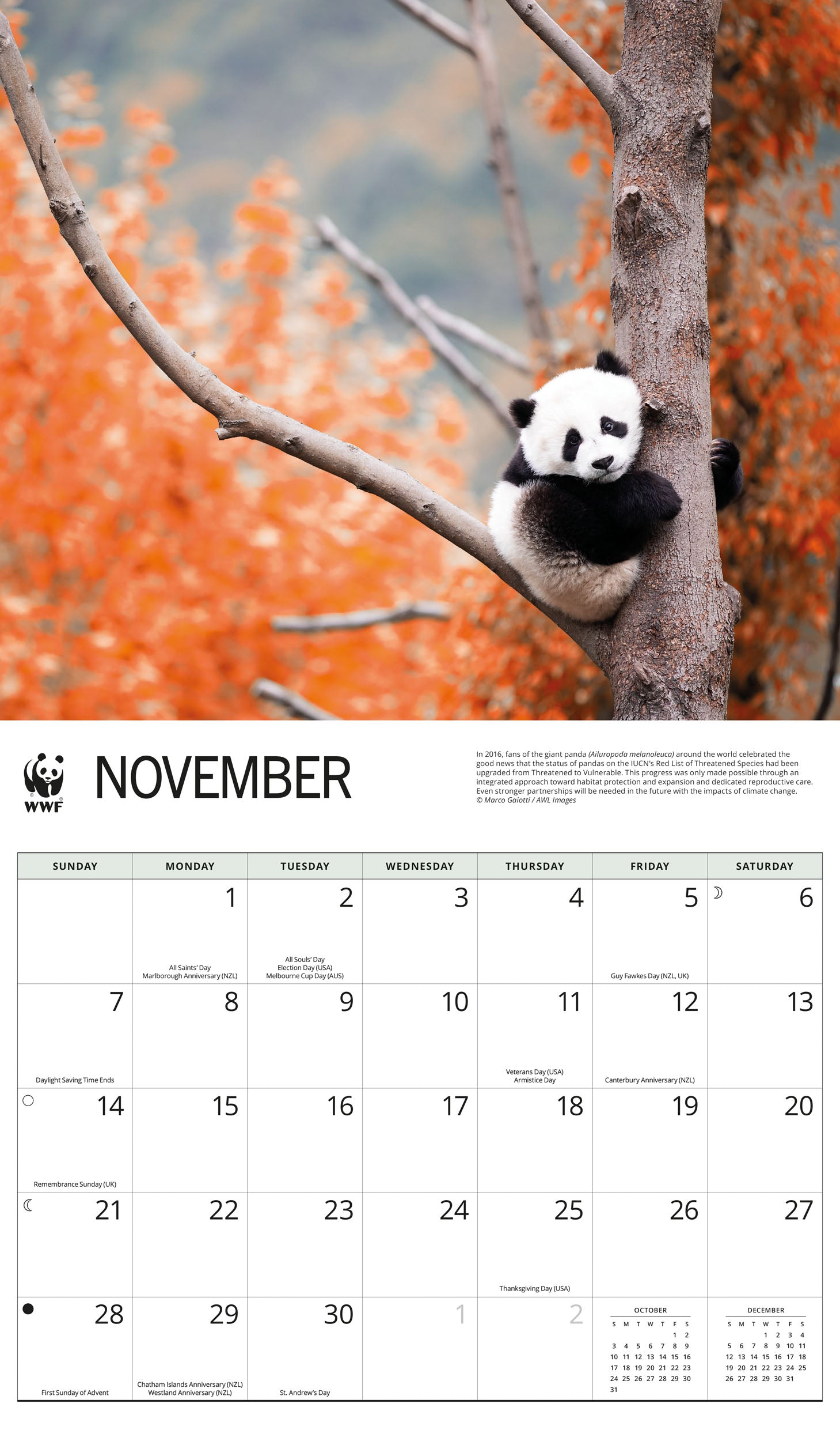 2027 WWF Giant Pandas - Deluxe Wall Calendar – image 5