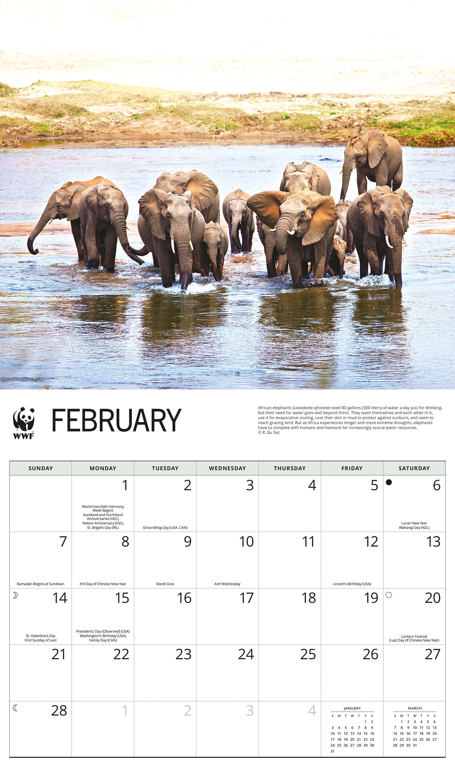 2027 WWF Elephants - Deluxe Wall Calendar – image 3