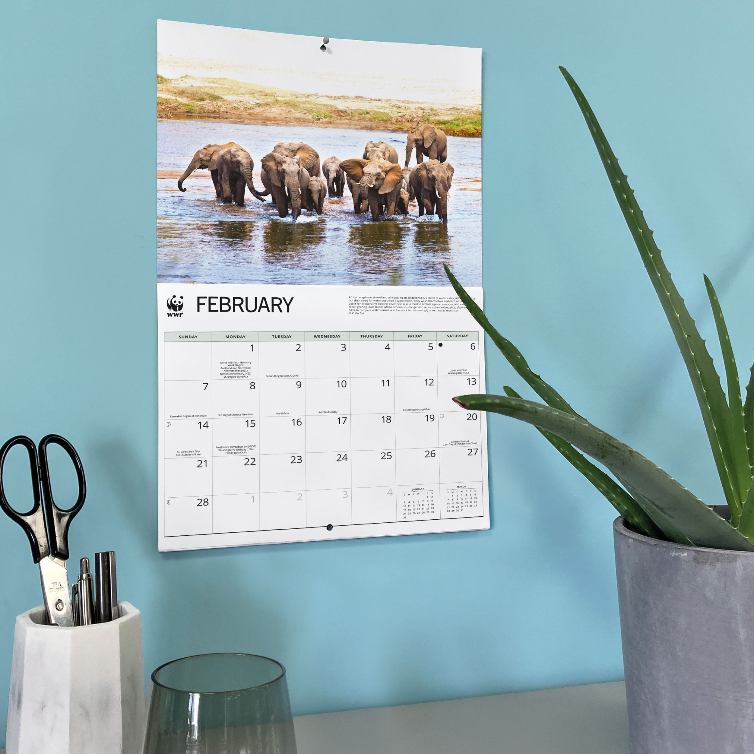 2027 WWF Elephants - Deluxe Wall Calendar – image 6