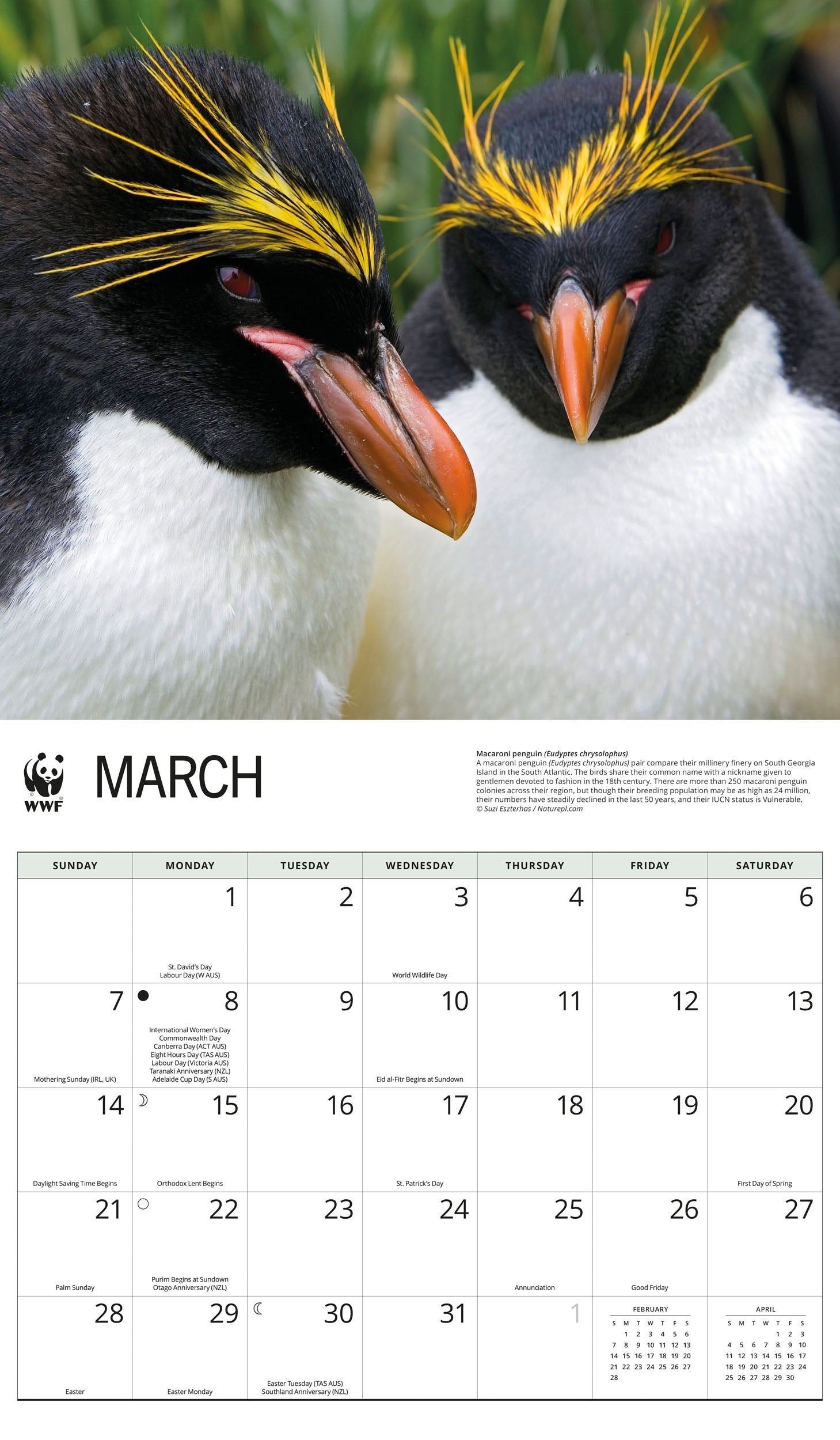 2027 WWF Penguins - Deluxe Wall Calendar – image 3