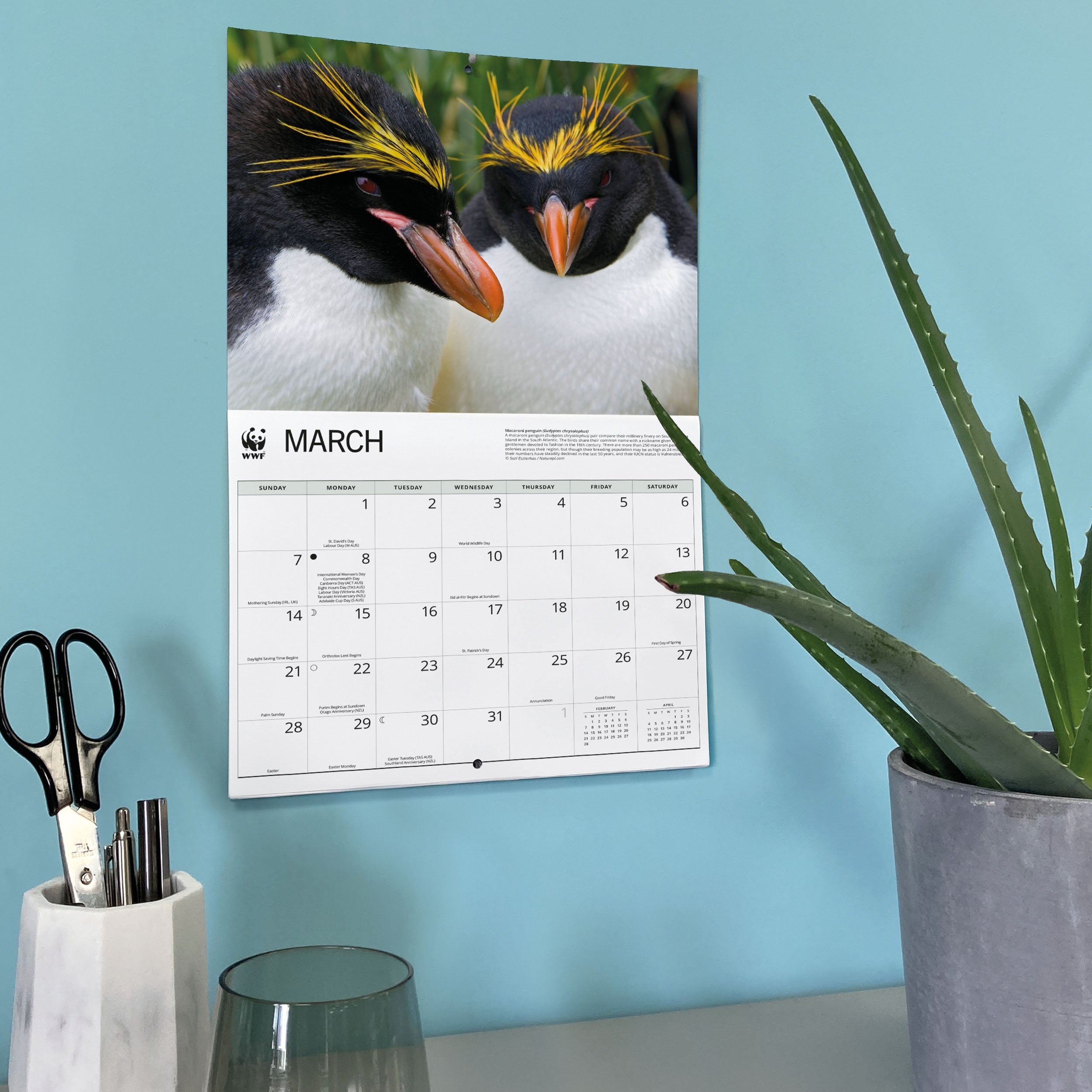 2027 WWF Penguins - Deluxe Wall Calendar – image 6
