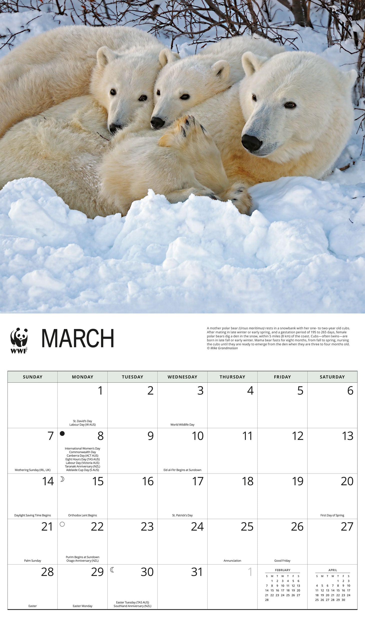 2027 WWF Polar Bears - Deluxe Wall Calendar – image 3