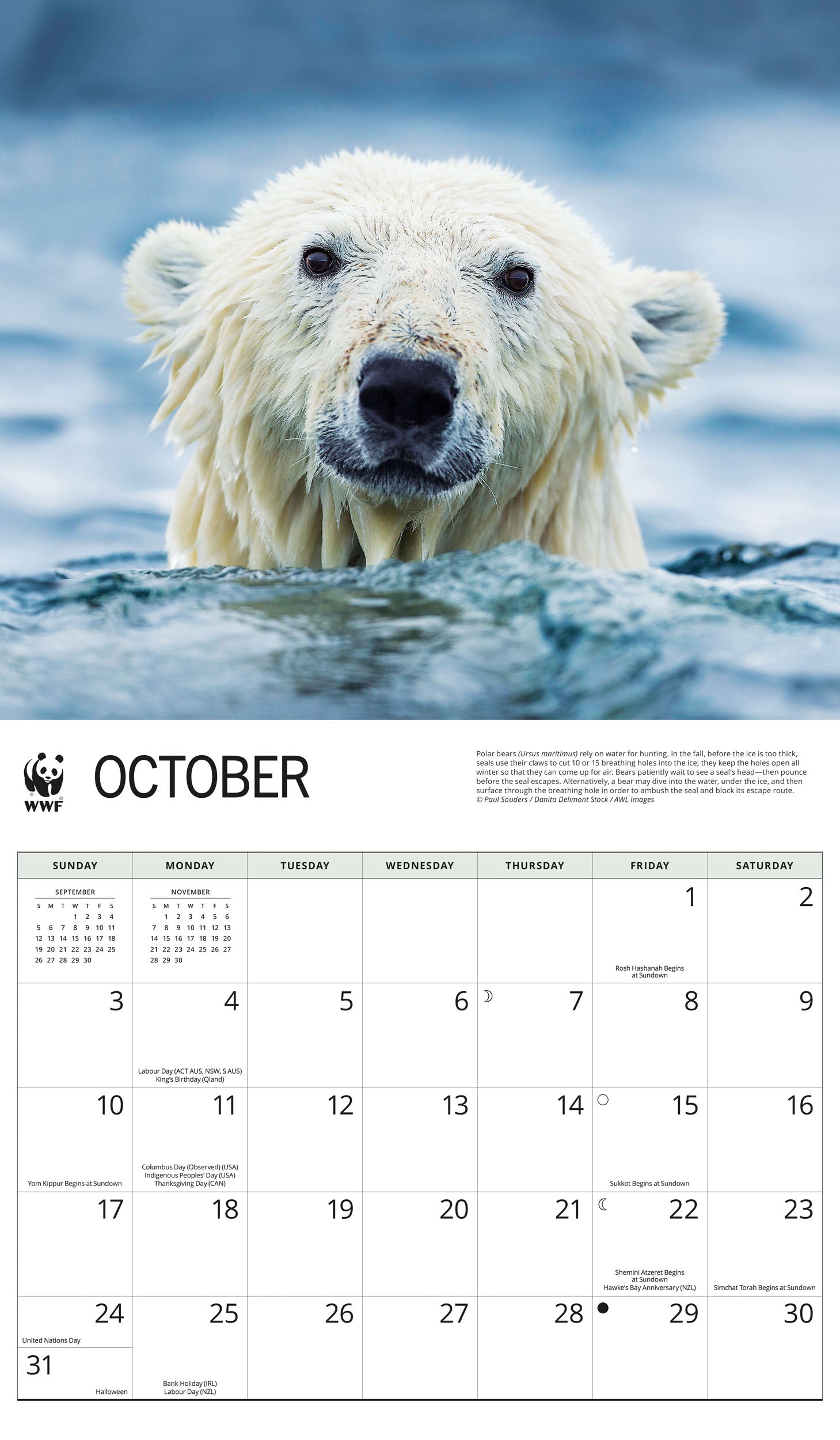 2027 WWF Polar Bears - Deluxe Wall Calendar – image 5
