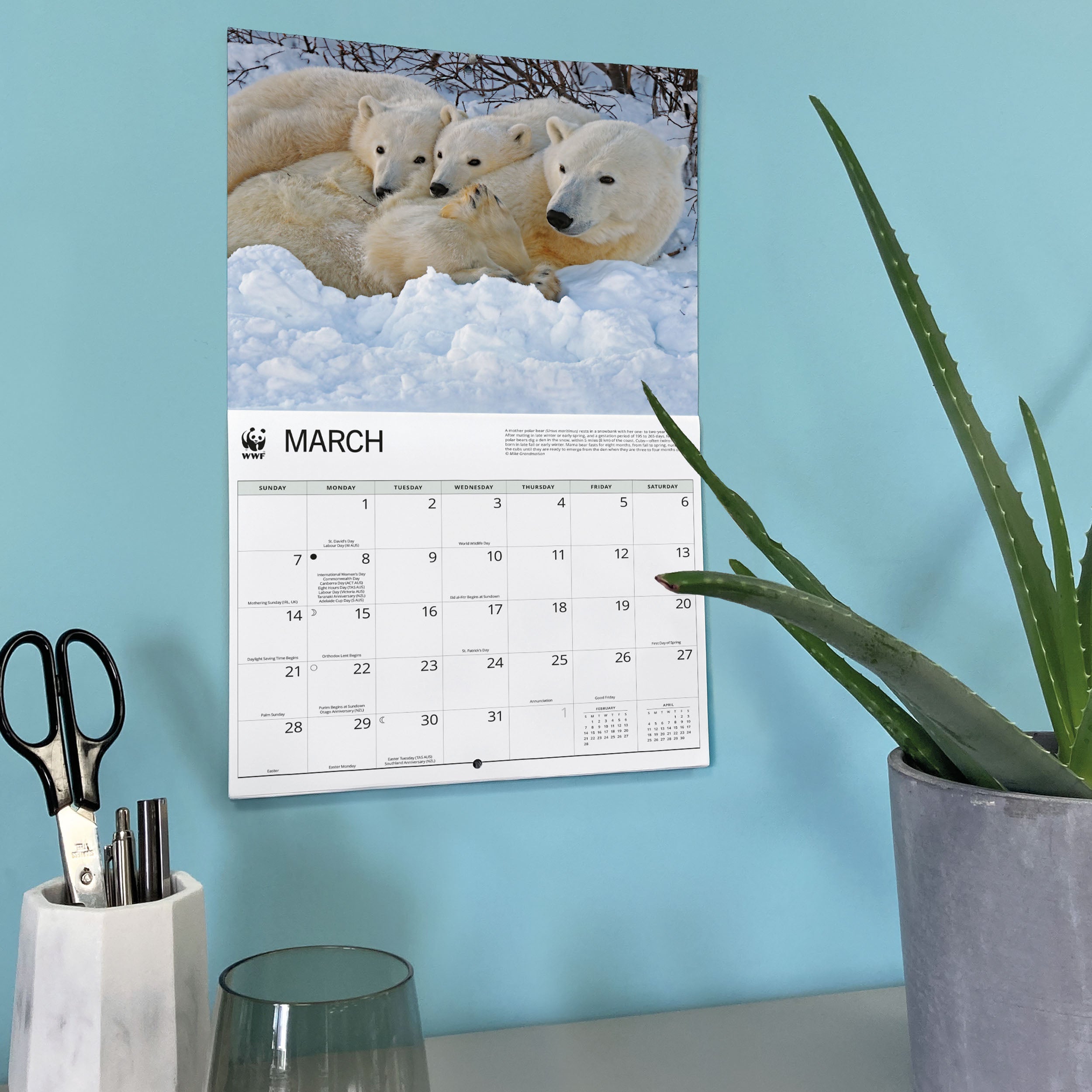 2027 WWF Polar Bears - Deluxe Wall Calendar – image 6