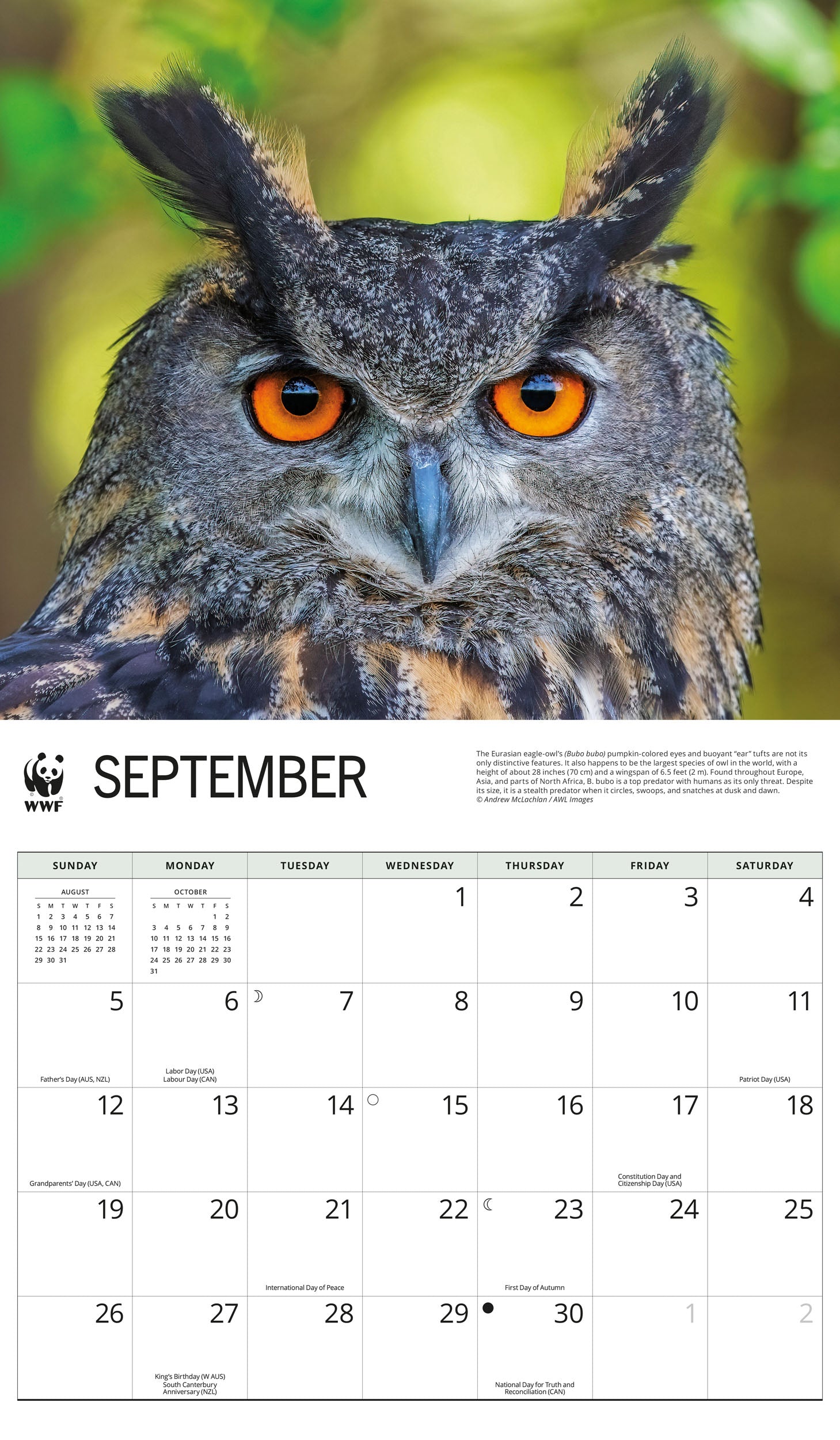 2027 WWF Owls - Deluxe Wall Calendar – image 4