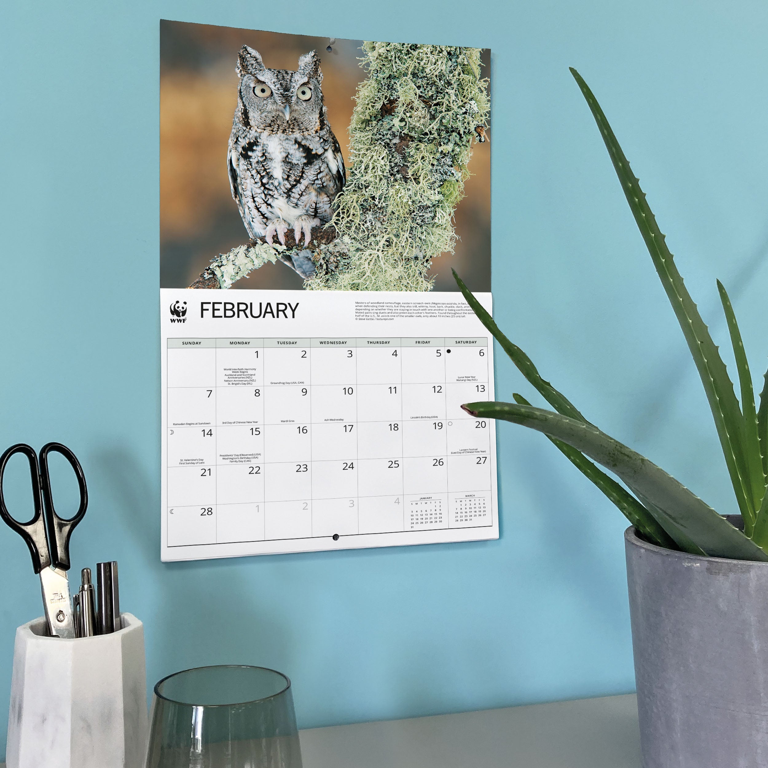 2027 WWF Owls - Deluxe Wall Calendar – image 6