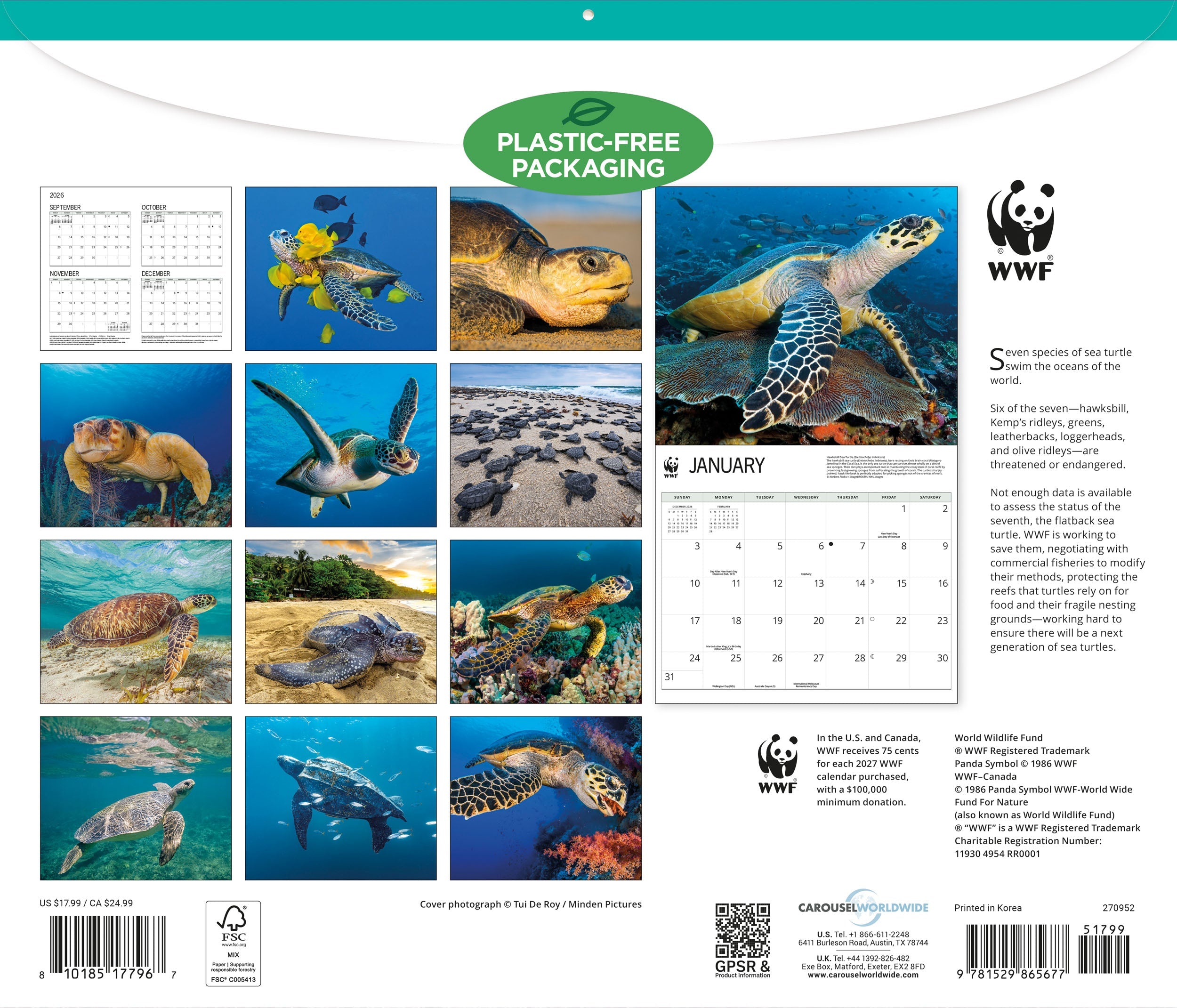 2027 WWF Sea Turtles - Deluxe Wall Calendar – image 2
