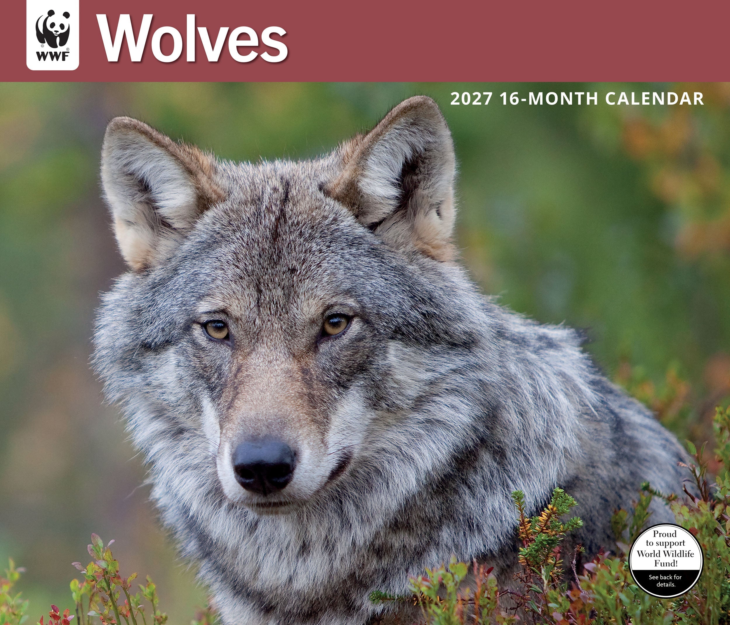2027 WWF Wolves - Deluxe Wall Calendar – image 1