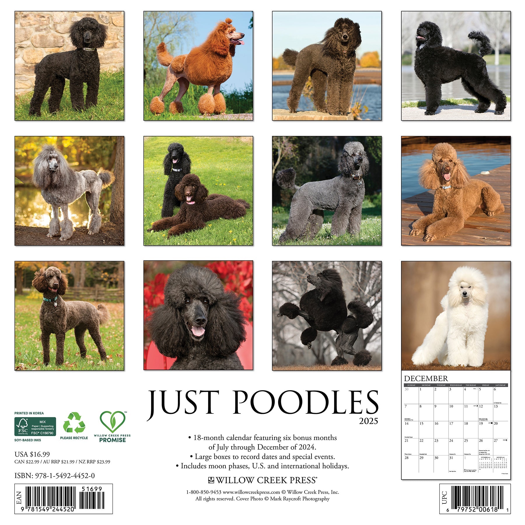 2025 Poodles - Square Wall Calendar