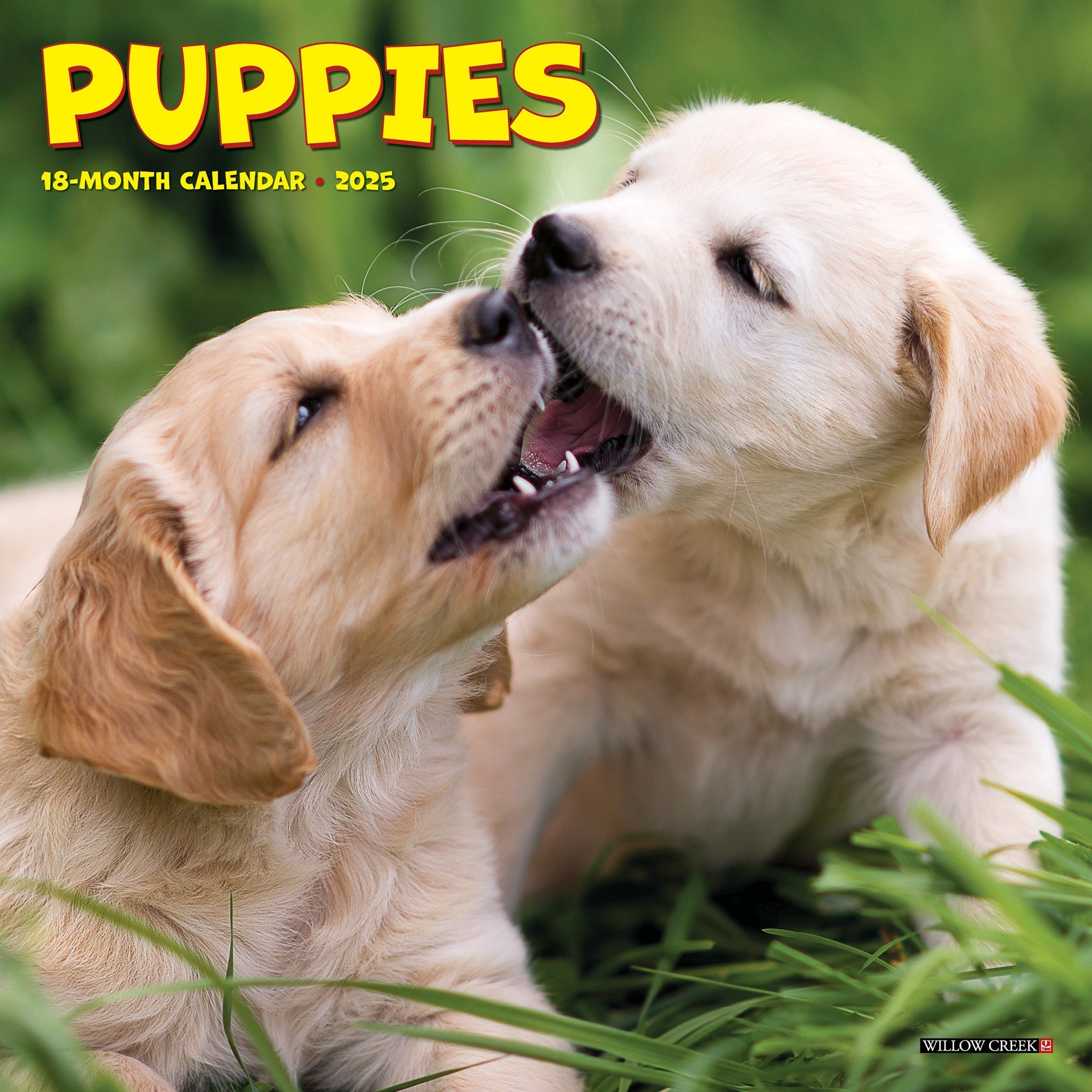 2025 Puppies - Mini Wall Calendar