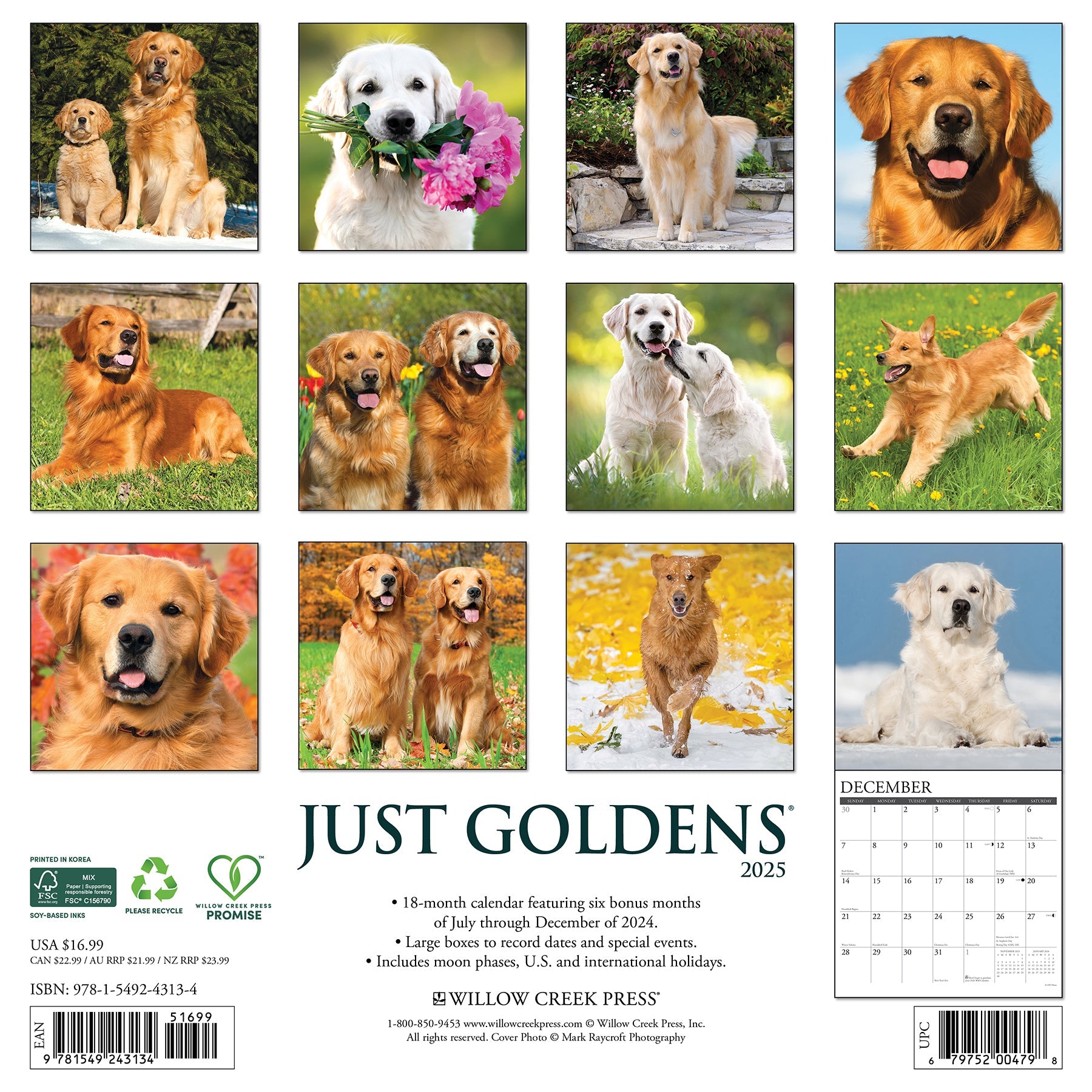 2025 Goldens - Square Wall Calendar